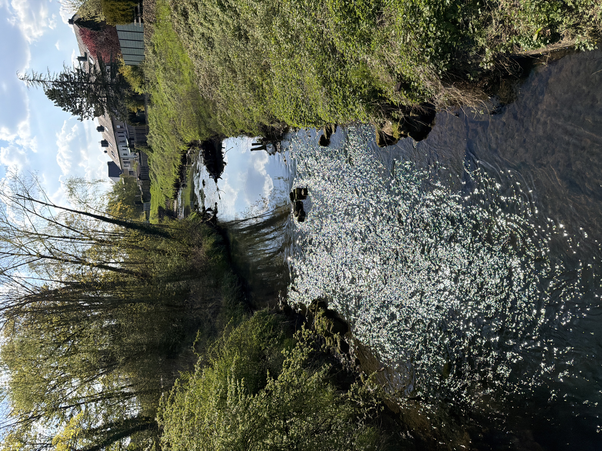 The image depicts a narrow waterway in Esch-sur-Alzette, Luxembourg. The water reflects sunlight, creating a shimmering effect. Lush vegetation covers the banks of the waterway. Houses and buildings are visible in the background. Trees line one side of the waterway.