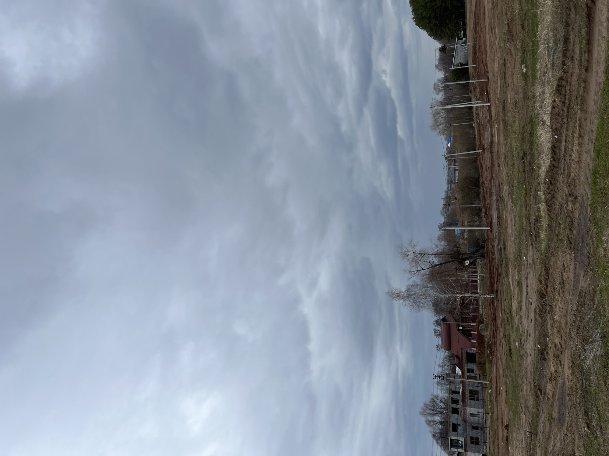 The image displays a wide, outdoor landscape under a heavily overcast sky, oriented vertically in its original presentation. When viewed correctly, the upper two-thirds of the frame are dominated by a dense, grey, and streaky cloud cover, indicating a gloomy or dull daytime.
The lower third of the image shows an uneven terrain composed primarily of bare, reddish-brown earth and patches of sparse, dry grass. This suggests muddy or disturbed ground, possibly due to recent activity or undeveloped land.
Along the horizon line, stretching across the middle of the frame, there is a series of utility poles or fence posts with wires strung between them. Beyond these, a mix of vegetation is visible: several bare deciduous trees, characteristic of late autumn, winter, or early spring, intermingle with some trees still bearing green foliage, particularly towards the left.
In the midground, several buildings are scattered. One structure features a prominent red roof, while others appear to be in various stages of construction, showing exposed concrete or block walls.
No people or animals are visible, and there is no discernable activity occurring. There is no visible text in the image. The overall scene conveys a sense of a semi-rural or developing area, possibly located in Chaikovsky, Russia, characterized by its natural elements mixed with ongoing construction or infrastructure.