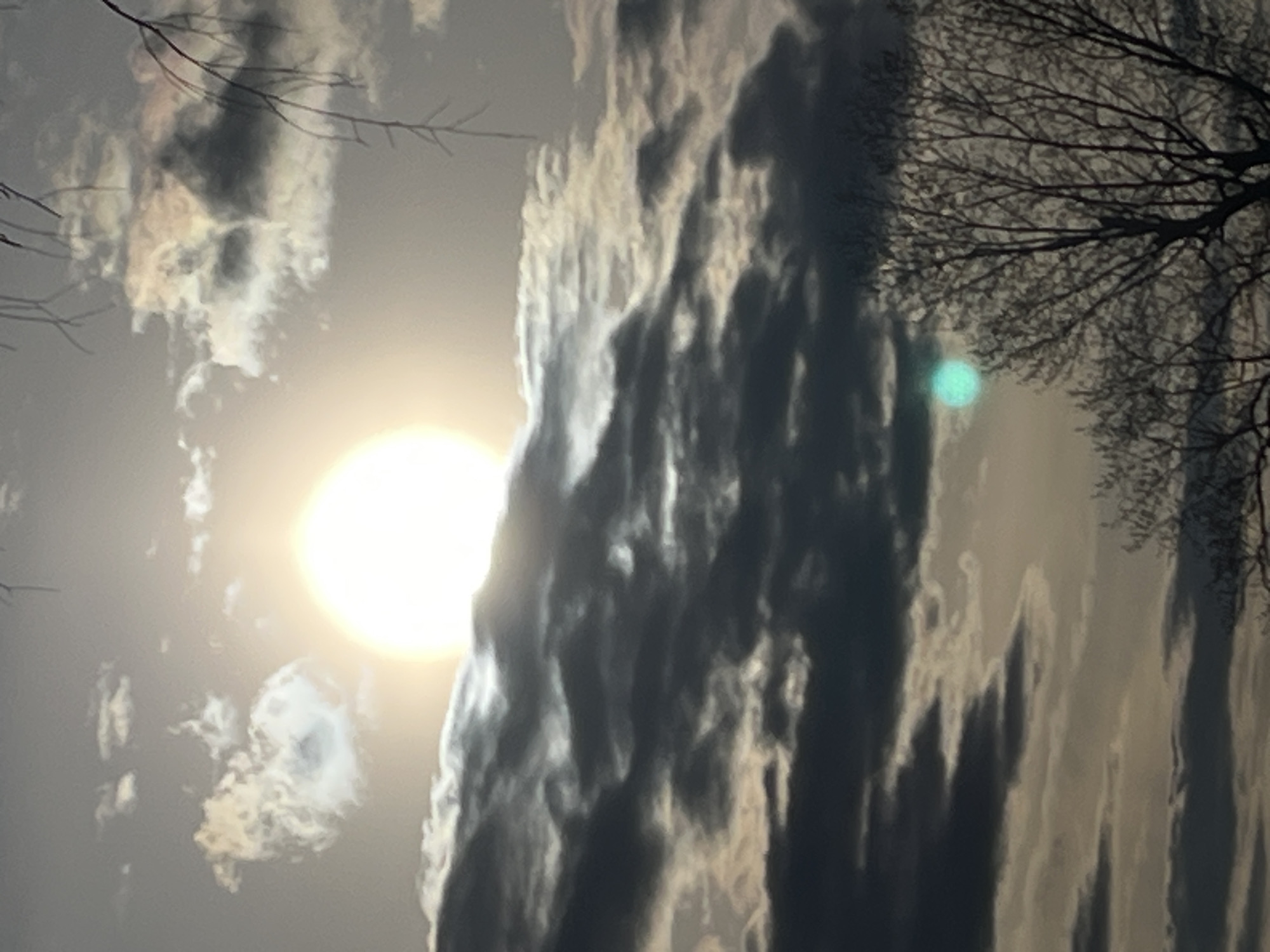 The image shows a bright sun partially obscured by dark, vertical cloud formations. Bare tree branches are visible in the upper-right corner and along the left side of the frame. A faint, circular green artifact is present in the upper-right, likely a lens flare. The overall scene appears to be outdoors during daylight. There is no indication of this being in the city of Фоки, Russia, or any city. There are no people present.