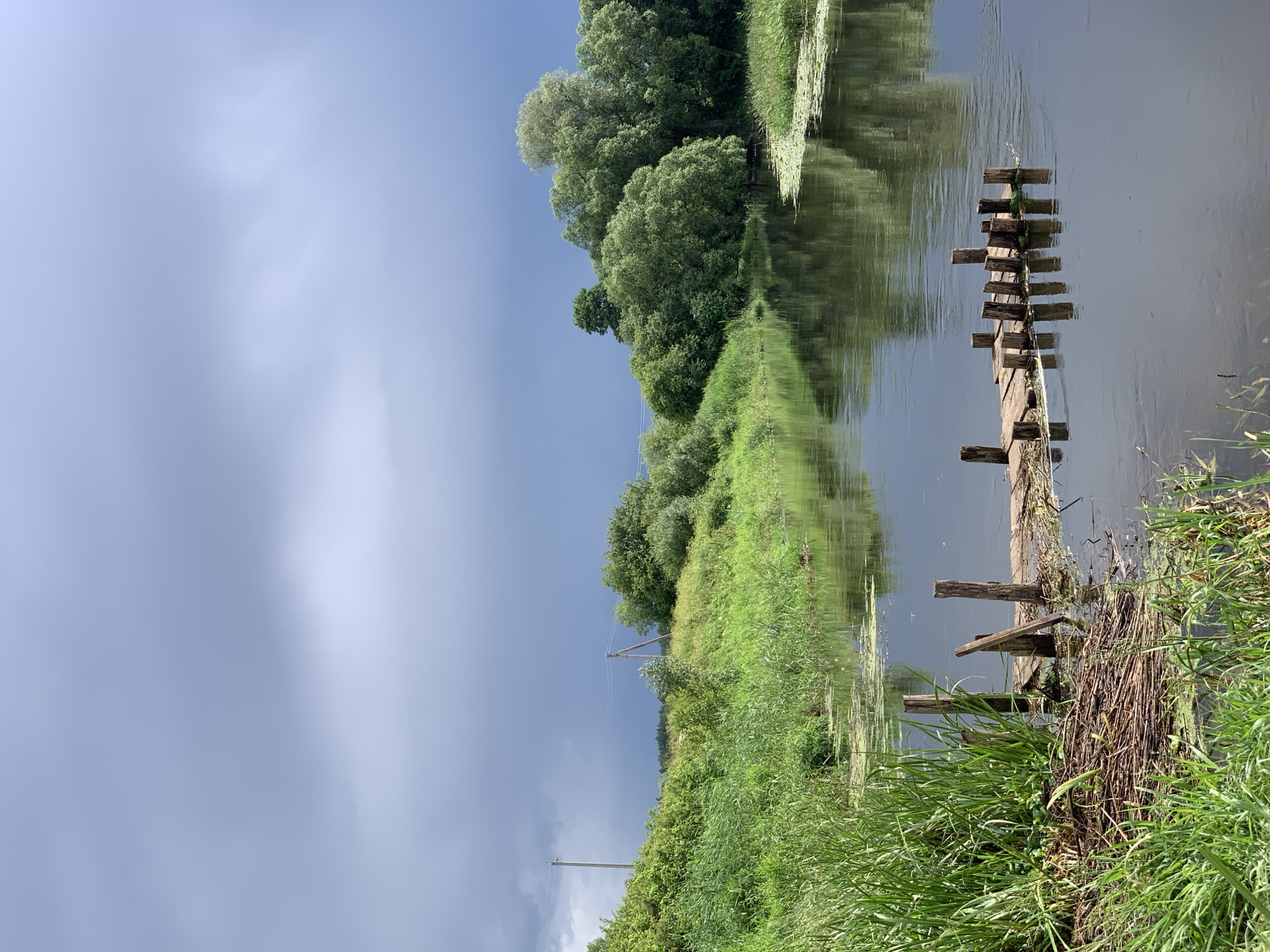 The image depicts a serene river scene with lush green vegetation lining the banks. In the foreground, a small, weathered wooden jetty extends into the calm water. The sky above is overcast with dark, dramatic clouds, suggesting an impending storm. The reflection of the trees and the sky is visible on the water's surface, creating a symmetrical effect. The overall atmosphere is one of natural beauty and tranquility, with a hint of atmospheric drama. The location of Відзаўскі сельскі Савет, Belarus is a rural area characterized by its natural landscapes, including rivers, forests, and open fields, consistent with the scene presented. There are no people or animals visible in the image, and no discernible actions or interactions are taking place. The environment is primarily natural, with man-made elements limited to the jetty and two utility poles visible in the distance.