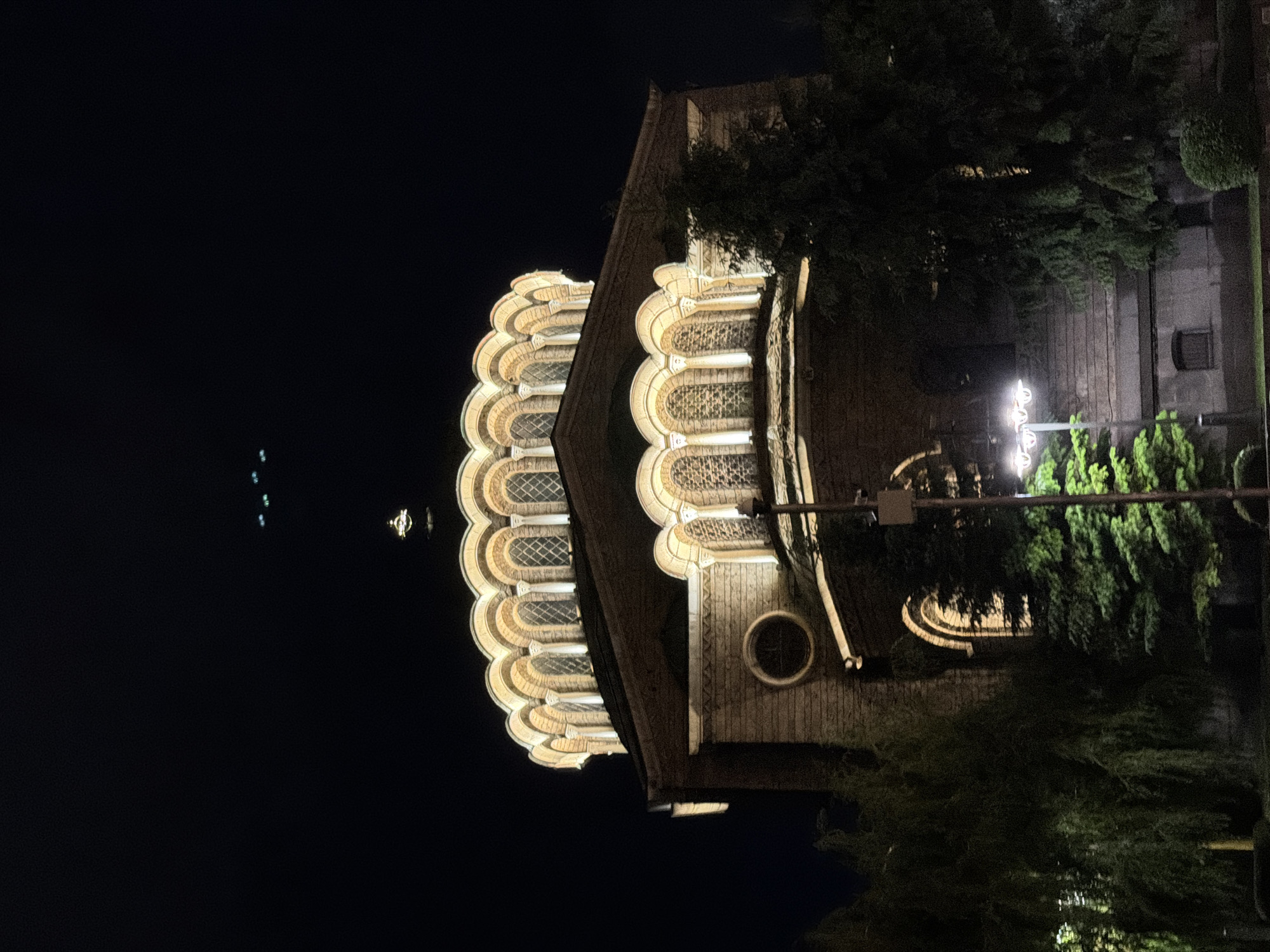 A vertical night photograph captures a majestic building, likely a church or cathedral, beautifully illuminated against a dark sky. The structure dominates the right side of the frame, showcasing intricate architectural details. A prominent feature is a series of ornate, scalloped arches with decorative window tracery, brightly lit from within or by external spotlights, giving them a warm, golden glow. These arches repeat along the building's facade. Another section of the building to the right features similar detailing and a round window.
Lush, dark green trees are visible, framing the building and partially obscuring its lower and right portions. A bright street lamp with multiple light sources illuminates the foliage and a section of the ground or path on the lower right. In the distance, against the dark expanse of the night sky on the left, a few small, faint lights can be seen. The image evokes a serene atmosphere, highlighting the architectural grandeur at night. The scene appears to be set in Sofia, Bulgaria, consistent with the architectural style. No people or text are visible.