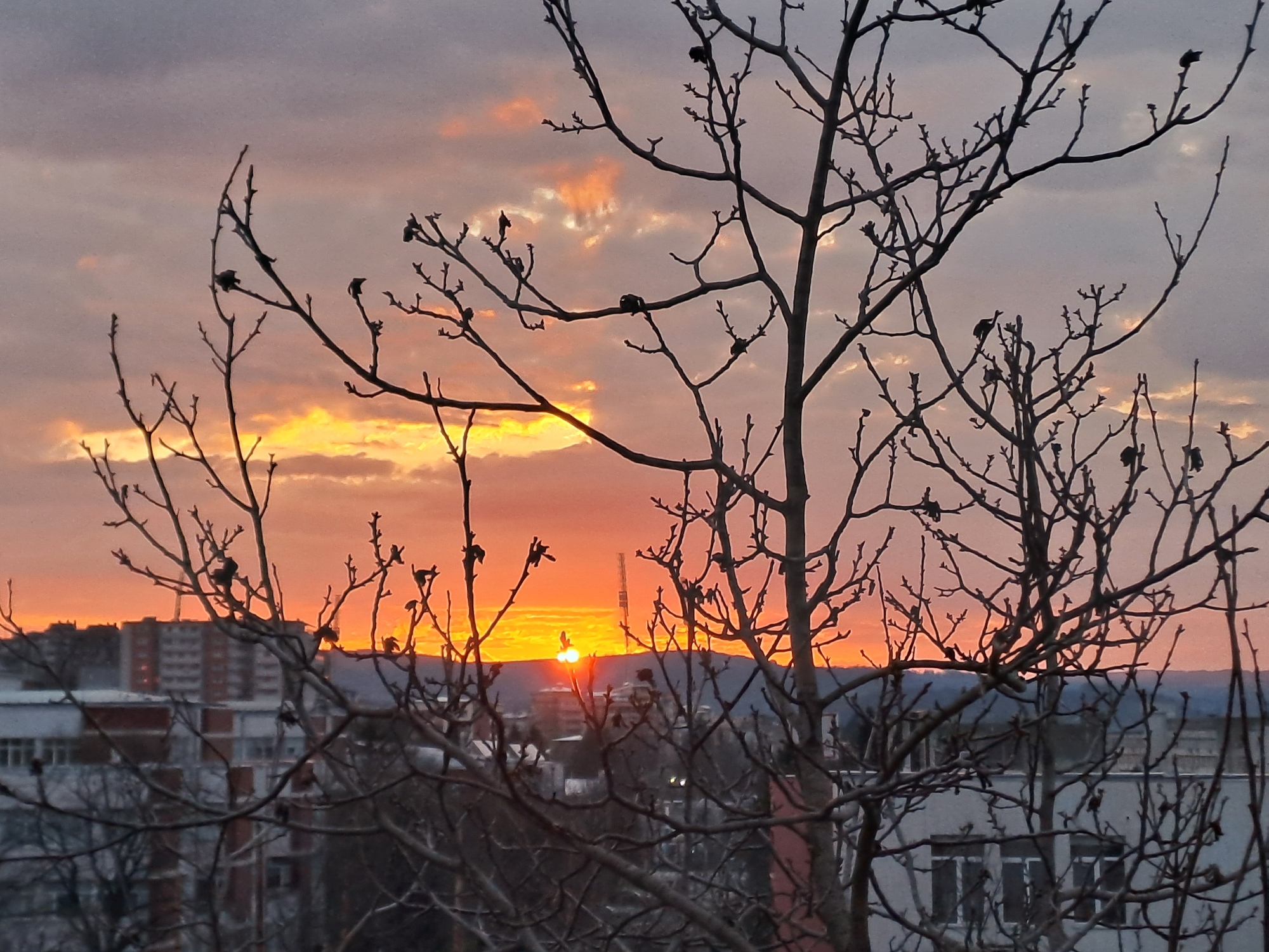 The image captures a sunset in an urban environment. Silhouetted bare tree branches dominate the foreground. Behind them are buildings, and in the distance is a low hill against which the sun is setting. The sky is a mix of orange, yellow, and gray clouds.