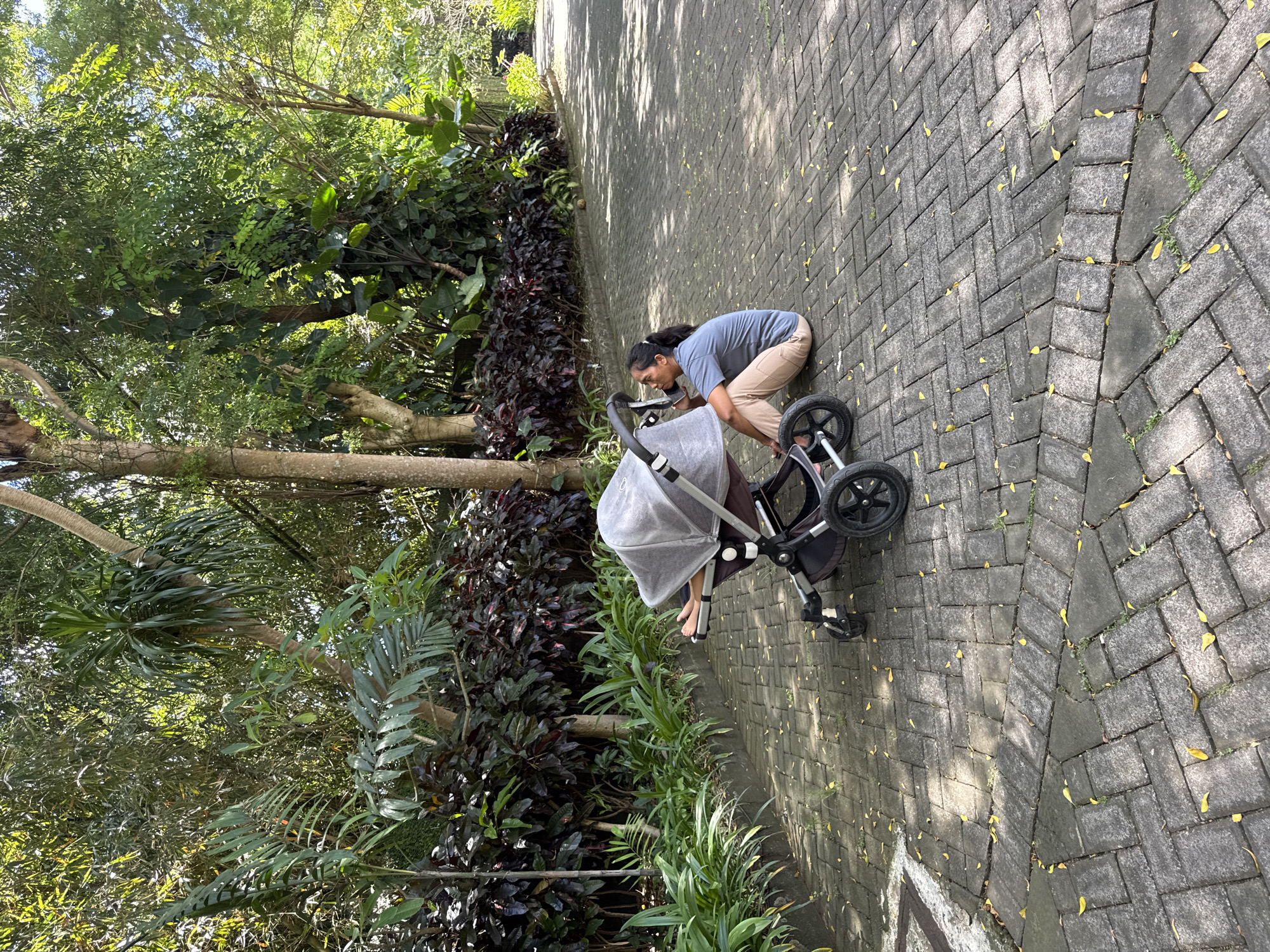 This image depicts an outdoor scene in what appears to be a lush tropical environment, consistent with the Kuta Selatan region of Indonesia. The main subjects are an adult individual and a baby stroller, situated on a paved path.
The person, appearing to be an adult female with long dark hair, wears a light blue/grey t-shirt and tan trousers. She is crouched beside a modern baby stroller, which has a dark frame and a light grey fabric canopy. Her gaze and posture suggest she is attentive to the stroller, possibly tending to a baby or making an adjustment. Indeed, the small, bare feet of an infant are visible peeking out from under the stroller's canopy, confirming the presence of a child.
The setting is characterized by vibrant and dense tropical vegetation. On the left side of the path, a thick bed of green plants and shrubs with distinctive dark red or purple leaves creates a rich botanical backdrop. Tall trees with visible trunks and branches extend into the upper and left portions of the frame, contributing to the verdant atmosphere. The ground is covered by a grey paved path, constructed from rectangular pavers arranged in a herringbone pattern, with scattered yellow leaves and small patches of grass growing between the cracks.
The time of day is clearly daytime, marked by bright sunshine casting strong, distinct shadows of trees and foliage onto the paved surface. The weather appears sunny and clear. No visible text is present in the image. The overall impression is a peaceful moment during an outing in a beautiful, natural setting.