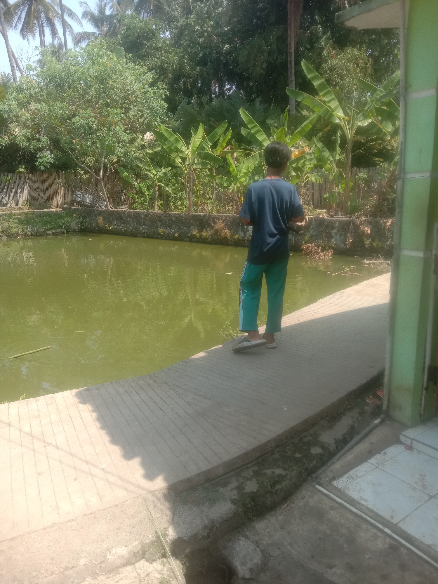 A young boy stands on a concrete pathway next to a pond filled with murky green water. He is facing away from the camera, wearing a dark blue t-shirt and teal pants. Banana trees and other foliage surround the pond. The scene appears to be in a rural or semi-rural area of Cianjur, Indonesia, possibly a backyard or a common area with a water feature. The pathway is textured and shows some signs of wear. A green structure is visible on the right side of the frame, suggesting the presence of a building. The lighting indicates it is daytime, with shadows cast on the pathway.