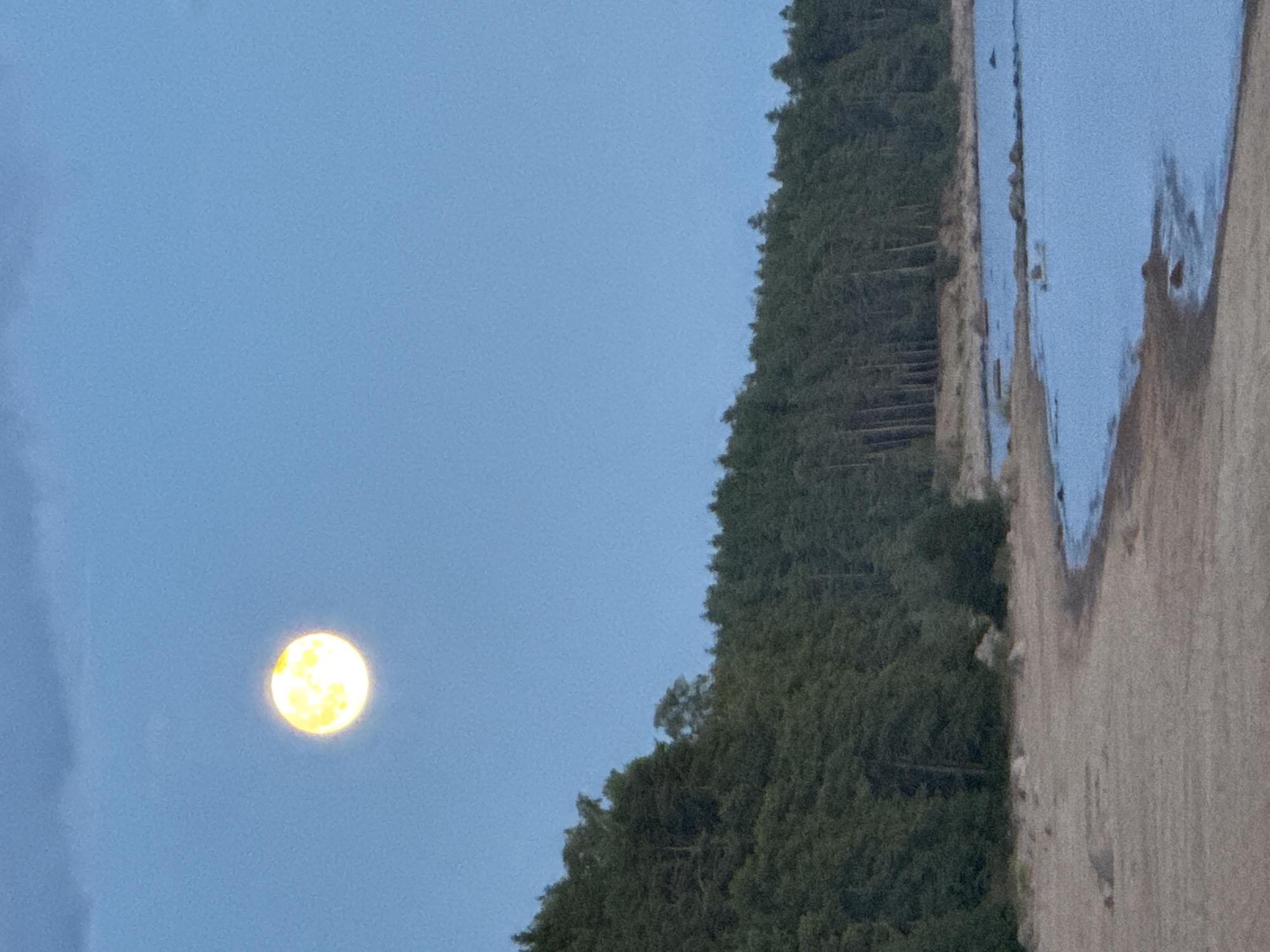 A full moon, glowing a bright yellow, is visible in a clear, pale blue sky. Below the moon, a dense forest of dark green evergreen trees lines the shore of a body of water. The water is a calm, muted blue, reflecting the sky. A sandy beach with scattered rocks curves along the water's edge. The overall scene is a serene natural landscape at dusk or dawn. The location is the city of Zelenaya Roshcha, Russia.