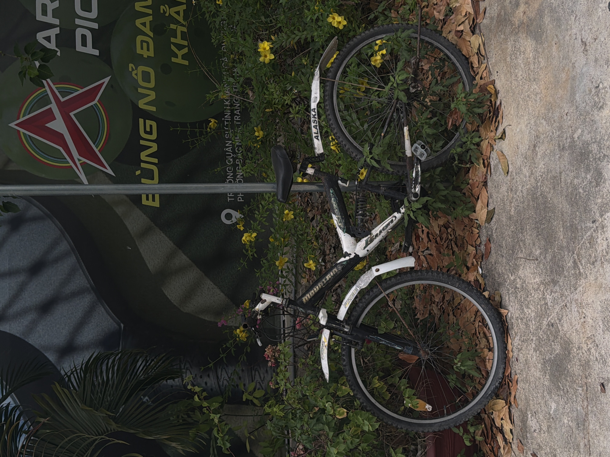 A bicycle lies on its side in the Bac Nha Trang Ward, Vietnam. It rests among plants, fallen leaves, and a section of concrete sidewalk. The bicycle is white and black, featuring the word "ALASKA" on one of the front fenders and "MOUNTAIN RACING" on the frame. Part of a green sign with yellow lettering and a red emblem is also visible.