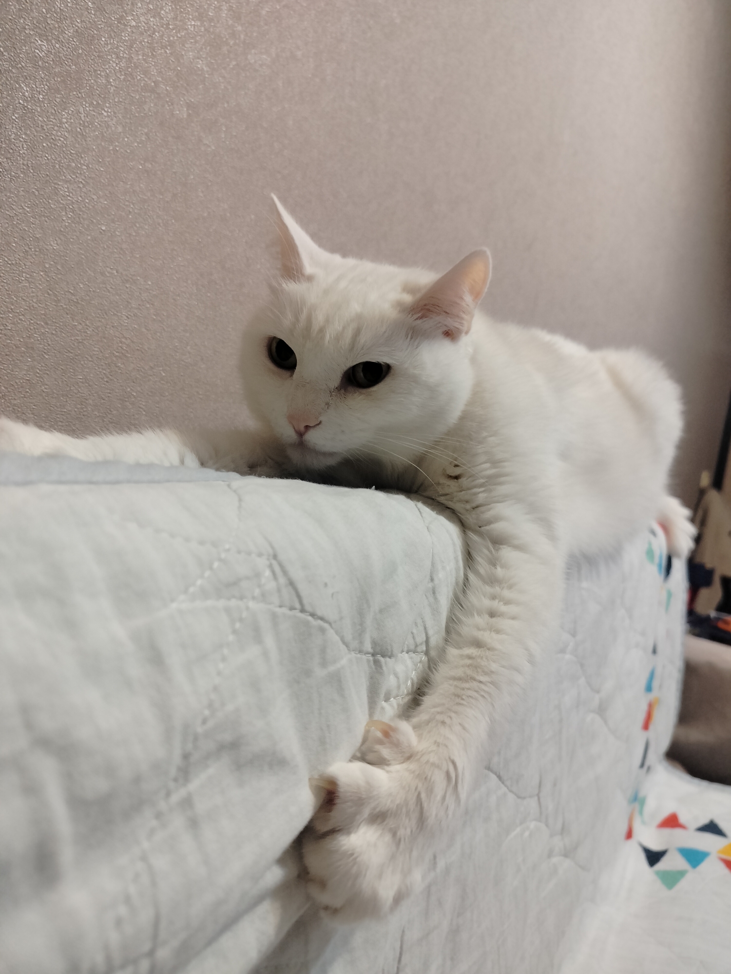 A white cat is resting on a white quilted surface. Its body is mostly on the surface, with one front paw dangling over the edge. The cat has dark eyes and light-colored ears. The background is a light beige wall. The location is unknown.