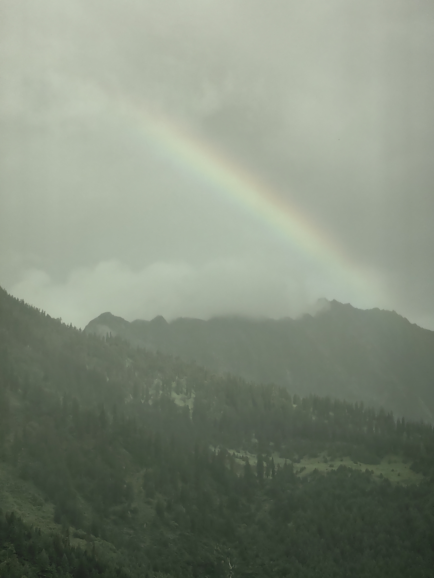 A faint rainbow arches across a cloudy, overcast sky above a mountainous, forested landscape. The mountains are shrouded in mist, with dark green trees covering their slopes. In the foreground, the dense forest continues down a steep incline. The overall impression is one of a moody, natural scene in a mountainous region. This image was captured in Vashisht, India.