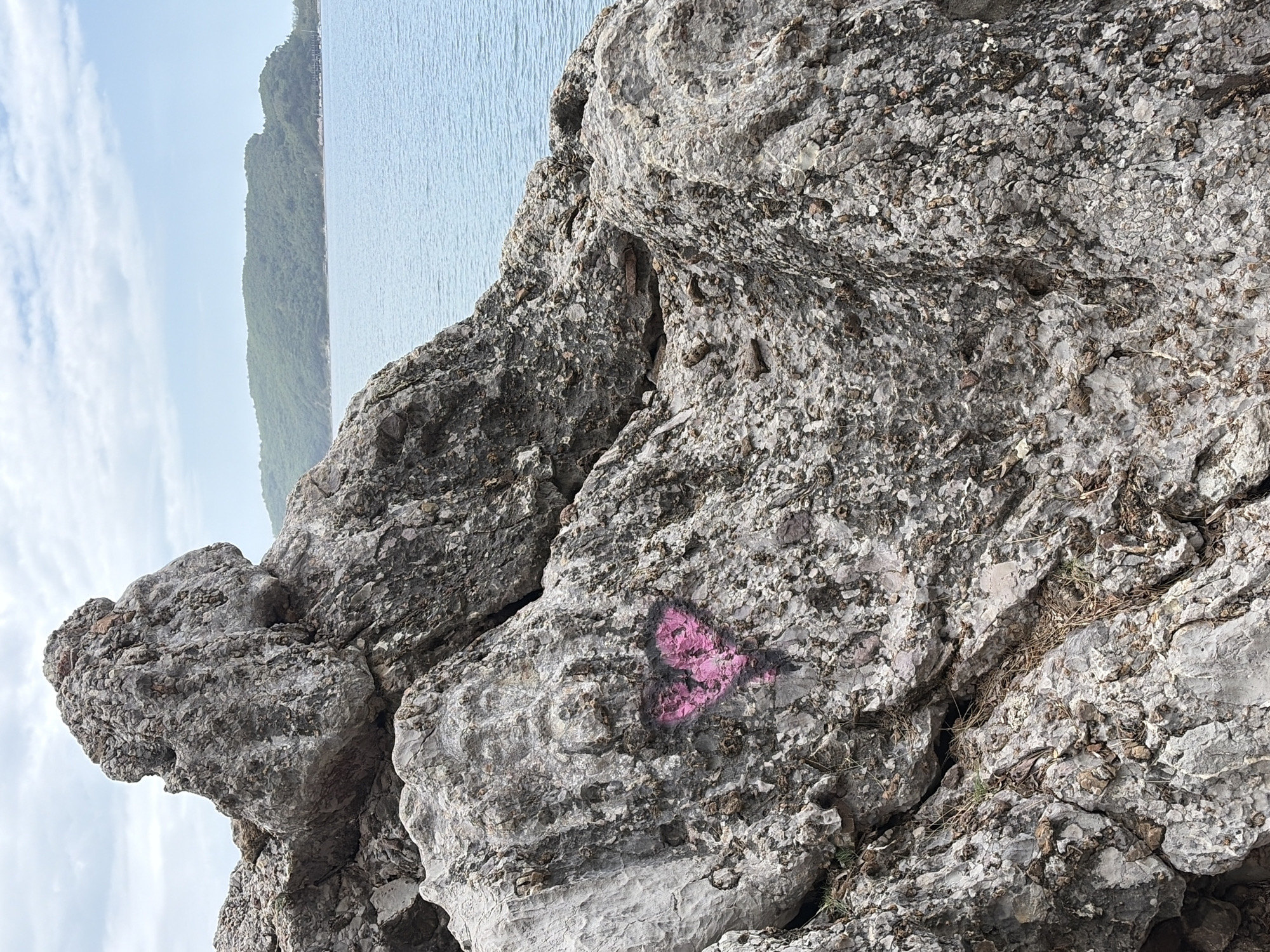 The image shows a close-up of a rocky outcrop with a faded pink arrow spray-painted onto its surface. The rock is primarily grey, with a rough, weathered texture. The background reveals a seascape with a coastline in the distance, suggesting a coastal location. Based on the visual context and the request mentioning Budva, Montenegro, it is plausible that the image was taken on a rocky coastal area near or within Budva, Montenegro. The time of day appears to be daytime, based on the available light. There are no people visible in the frame.