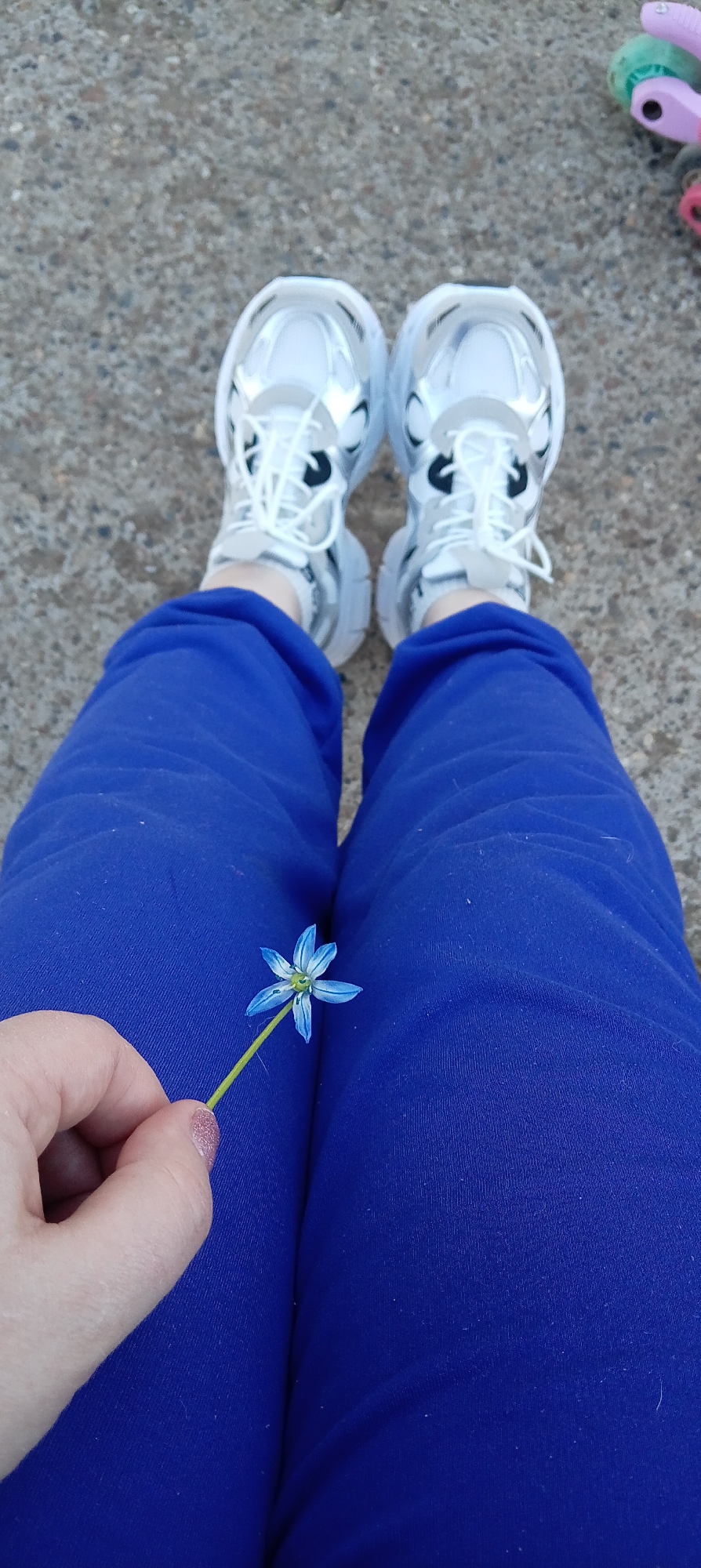 The image shows a person seated with their legs extended, wearing blue sweatpants and white athletic shoes with black accents. In their left hand, they hold a small blue flower with white markings. The background is a textured grey surface, possibly concrete or asphalt. To the upper right, partially visible, are colorful children's roller skates. The location is Chaikovsky, Russia.