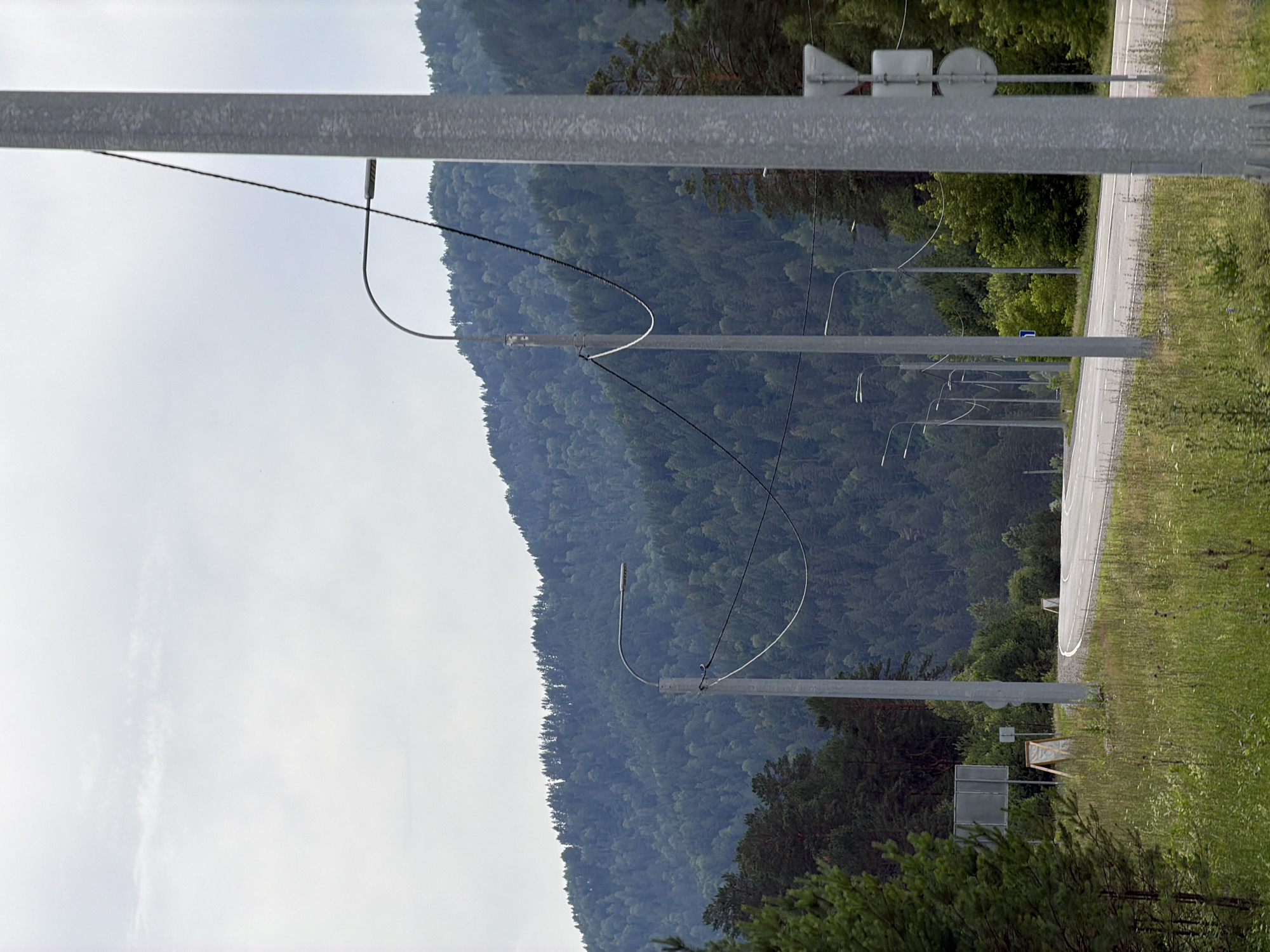 This is a medium-shot, eye-level, outdoor photograph taken on a cloudy day of a paved road winding through a forested, mountainous area. The road curves to the right in the mid-ground and recedes into the distance. Several streetlights with curved arms are positioned along the left side of the road. In the foreground, a tall, grey, metal pole with electrical wires attached is prominently featured on the right side of the frame. To the left of the road, there is an area of dry grass and some greenery, with a grey signpost and two A-frame signs visible. The background is dominated by a dense, dark green forest covering a mountain range, with a hazy sky overhead. There are no people or animals visible in the image. The scene suggests a highway passing through a natural landscape, possibly near a settlement given the streetlights. Based on similar imagery, this location is consistent with the outskirts of Ust'-Sema, Russia, a village in the Altai Republic known for its natural beauty and mountainous terrain.