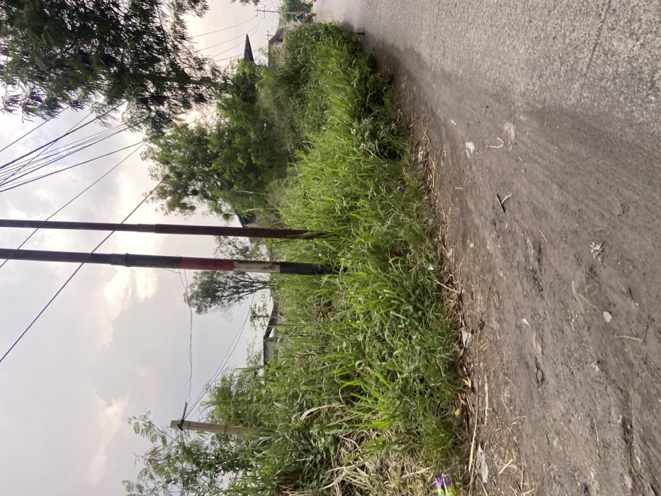 The image shows a dirt road with a grass verge on the left side. There are two telephone poles with electrical wires running overhead. The grass is overgrown and there are some trees in the background. There is a partially paved road on the right, with a small motorbike in the distance. The location is a rural area in Kecamatan Margaasih, Indonesia. The coordinates are -6.961 latitude and 107.536 longitude. The image shows a scene of an undeveloped area with few people. It is overcast with a hazy sky.
