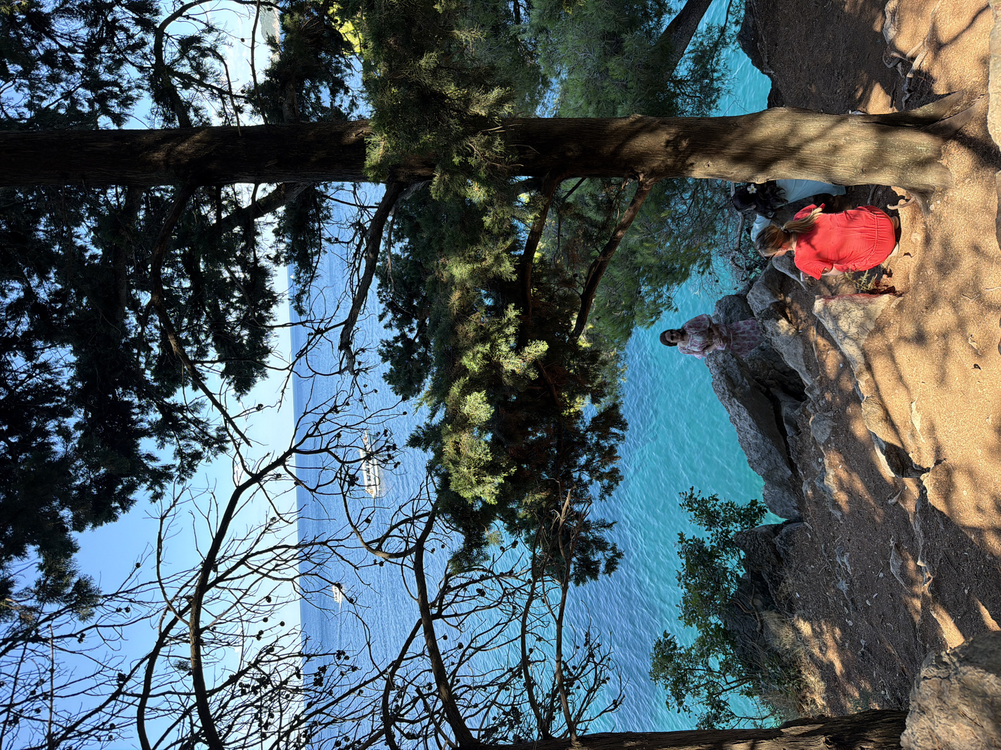 The image captures a scenic view from a forested hillside overlooking the Adriatic Sea near Sveti Stefan, Montenegro. In the foreground, the base of a large tree trunk is visible, with dappled sunlight illuminating the dry, earthy ground beneath. Further into the scene, three individuals are present. One person, wearing a pink and white floral dress, stands on a rocky outcrop near the sea. Two other individuals, one in a red garment and another in a light blue outfit, are seated on the ground. The sea is a vibrant turquoise, with several white boats visible on its surface. The background features lush green trees and the clear blue sky.