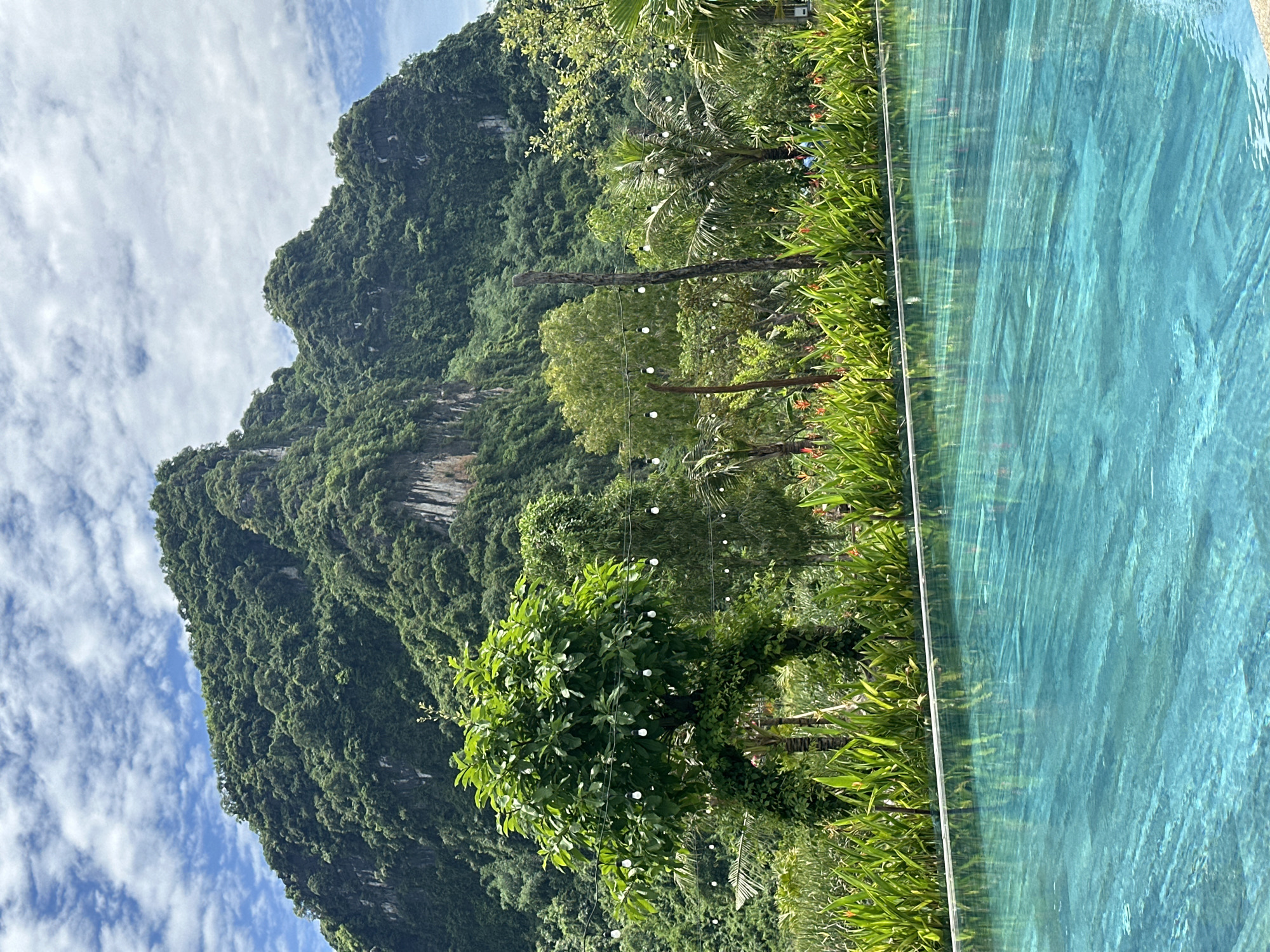 The image shows a scenic view of an infinity pool with lush green vegetation and a large, tree-covered mountain in the background. The water in the pool is a vibrant turquoise color, reflecting the bright blue sky dotted with white clouds. A row of green plants and some tropical flowers line the edge of the pool. In the mid-ground, there is a dense arrangement of trees and foliage, with some palm trees visible. String lights are visible hanging between poles in the vegetation. The mountain in the background is covered in dense green trees and has some rocky outcrops visible. The scene appears to be a resort or a similar tourist location in Nam Hoa Lư Ward, Vietnam. There are no people clearly visible in the frame.