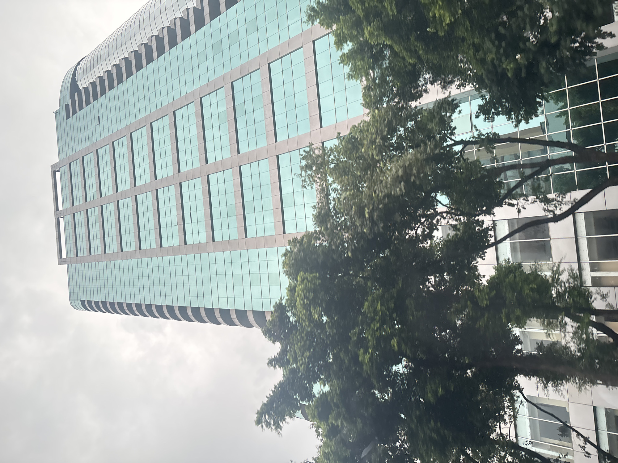 An eye-level, upward-facing shot captures a modern, tall building with a teal-tinted glass facade, set against an overcast sky. The building has a repetitive grid pattern of windows framed by grey vertical and horizontal elements. On the left and foreground, lush green trees with dense foliage partially obscure the lower sections of the building. The trees are blurred due to movement, suggesting the photo was taken from a moving vehicle. The environment appears to be an urban setting in Yuexiu District, China, characterized by the presence of this contemporary skyscraper and the surrounding vegetation. No people are visible in the frame, and no specific actions or interactions are taking place. The overall scene is static, focusing on the architectural structure and the natural elements in its immediate vicinity.