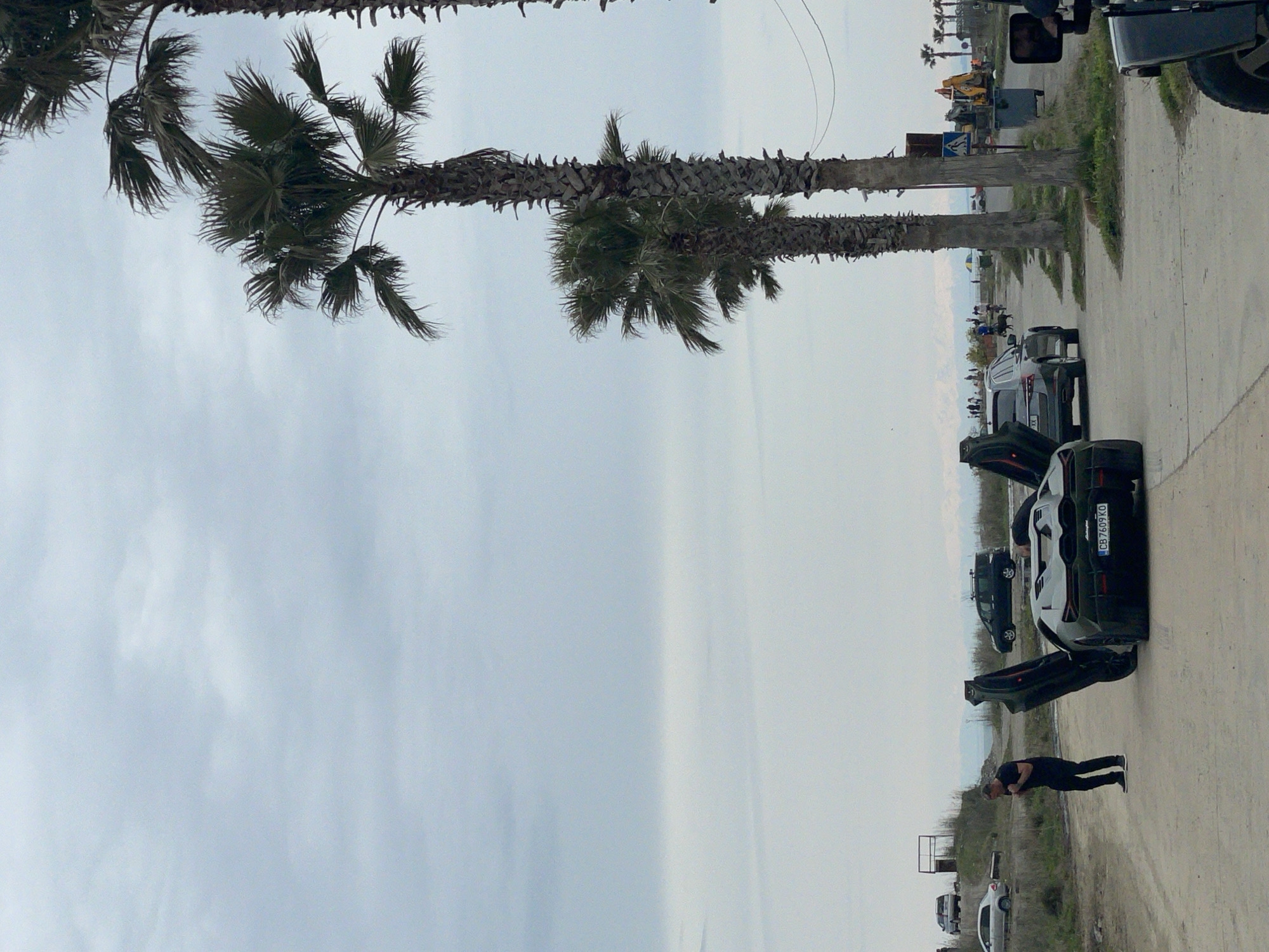 The image shows a scene in Batumi, Georgia. The primary focus is on a light-colored sports car with its doors open, parked on a dirt or gravel surface near the Black Sea coast. A man dressed in black stands near the car, appearing to look at his phone. Several other vehicles are parked nearby. In the background, there is the sea, and palm trees line the road. Heavy machinery is visible farther down the road. The sky is overcast, suggesting cloudy weather.