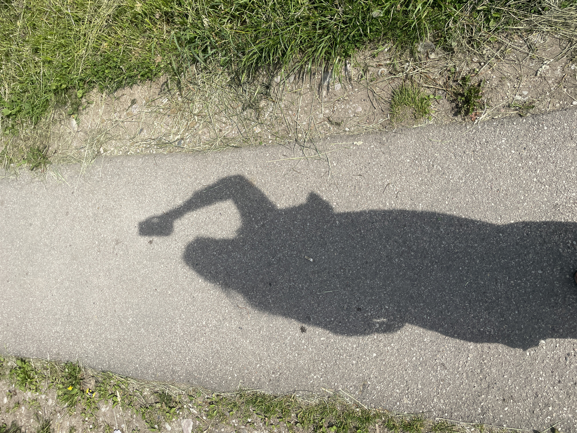 The image, taken in Сырково, Russia, displays an overhead view of a paved pathway under direct sunlight. A prominent, elongated shadow of a person, identifiable by a long silhouette suggestive of a dress or coat, occupies the majority of the frame. The shadow's right arm is raised, holding an object, likely a mobile phone, that casts a distinct, smaller shadow. To the left of the pathway, a strip of sparse vegetation with dirt and small green plants is visible, including a single yellow flower. To the right, another strip of mixed green grass, weeds, and dried plant matter borders the path. Litter on the paved surface includes a small dark smudge and a white cylindrical object, consistent with a cigarette butt, near the shadow's lower half. The tip of a shoe is visible at the very bottom of the frame, within the shadow.