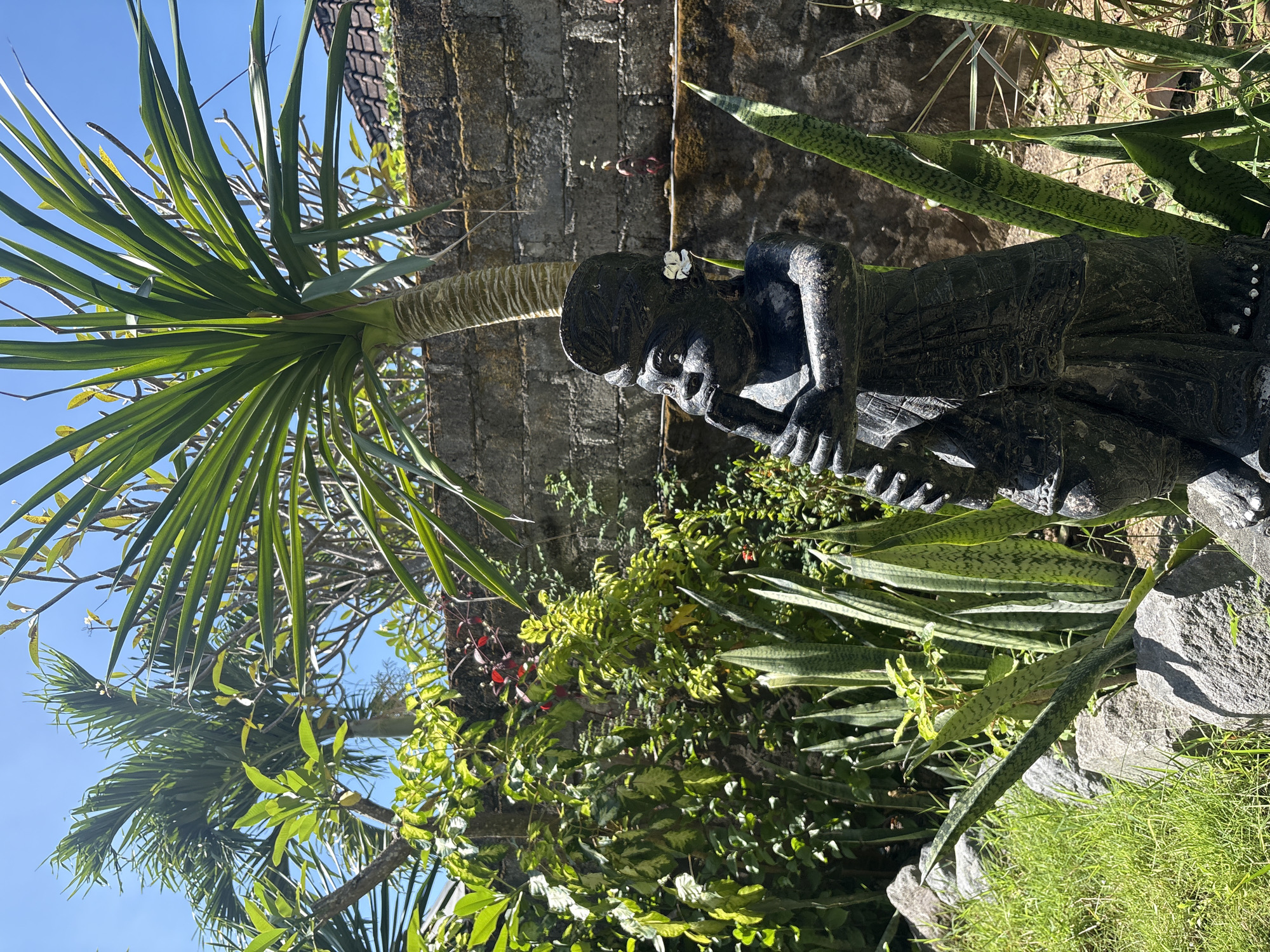 A stone statue of a person playing a flute stands in a garden on a sunny day. The statue is dark in color and appears to be made of carved stone. It is positioned in front of a stone wall and surrounded by lush greenery, including palm trees and snake plants. The statue is wearing a headdress and traditional clothing. There is a small white flower tucked behind the statue's ear. In the background, a tiled roof of a building is visible. The overall scene depicts a tranquil outdoor setting, likely in a tropical climate.