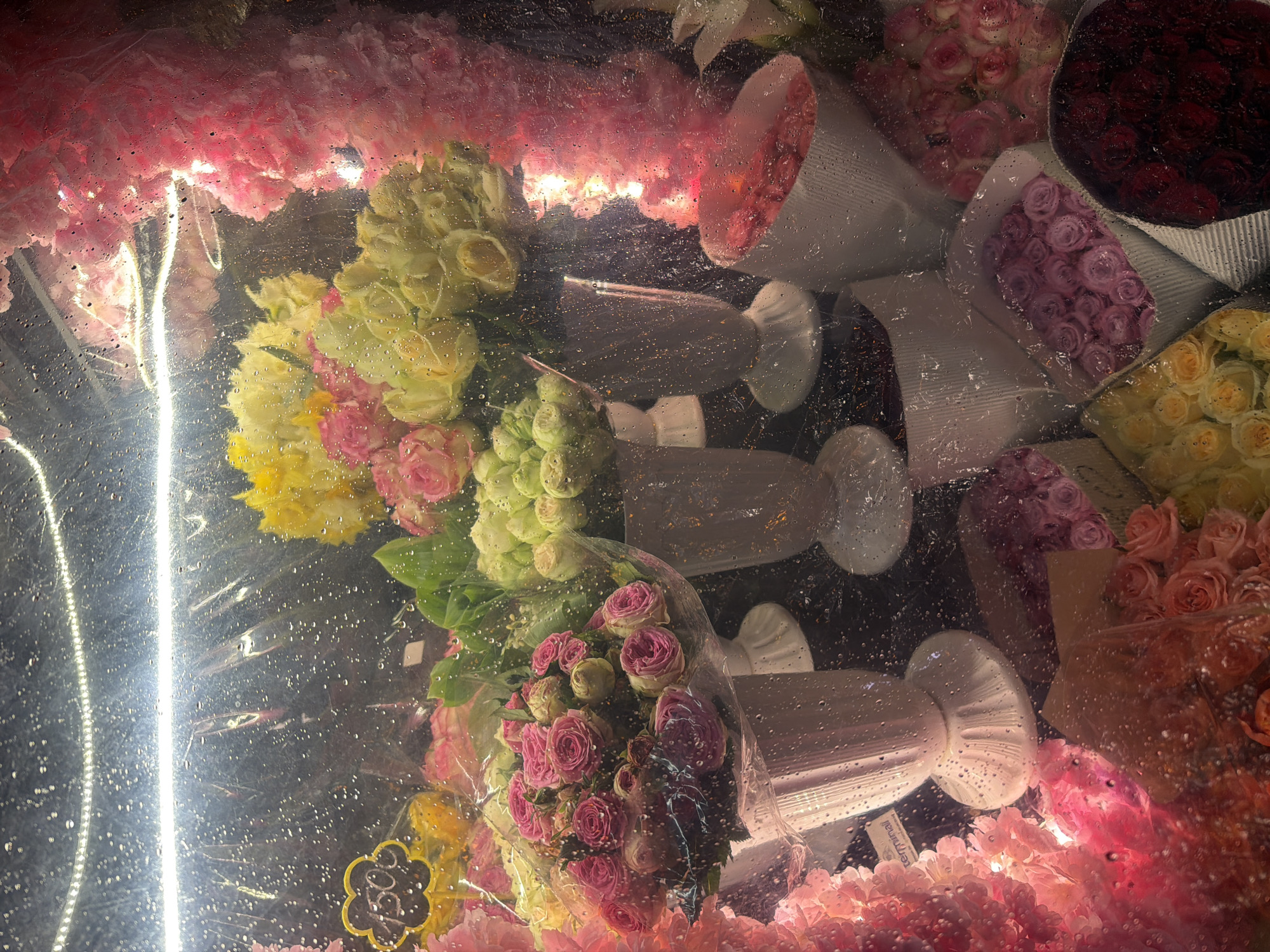 This image presents a vibrant and colorful display of various flowers, primarily roses and similar blooms, viewed through a transparent surface covered in numerous water droplets, suggesting condensation or misting in a refrigerated display case. The scene likely depicts a flower shop or market stall.
Numerous bouquets fill the frame, showcasing a rich palette of pink, yellow, light green, purple, dark red, and peach-colored flowers. Many of the bouquets are individually wrapped in white paper or clear plastic. Along the top and bottom edges, long arrangements of densely packed pink flowers, resembling garlands, add to the profusion of blossoms.
Bright artificial lights, including a prominent vertical strip light reflection on the left, illuminate the display, creating dazzling streaks and highlights on the wet surface. The background behind the flowers appears dark, accentuating the luminous colors of the blooms. The wet surface and vibrant flowers evoke a sense of freshness and delicate beauty.
In the lower-left corner, a black, flower-shaped price tag is visible, bearing the number "1500" in white or yellow text. This display is set in Yerevan, Armenia. No people are visible, and the activity is implied to be the viewing of flowers for sale.