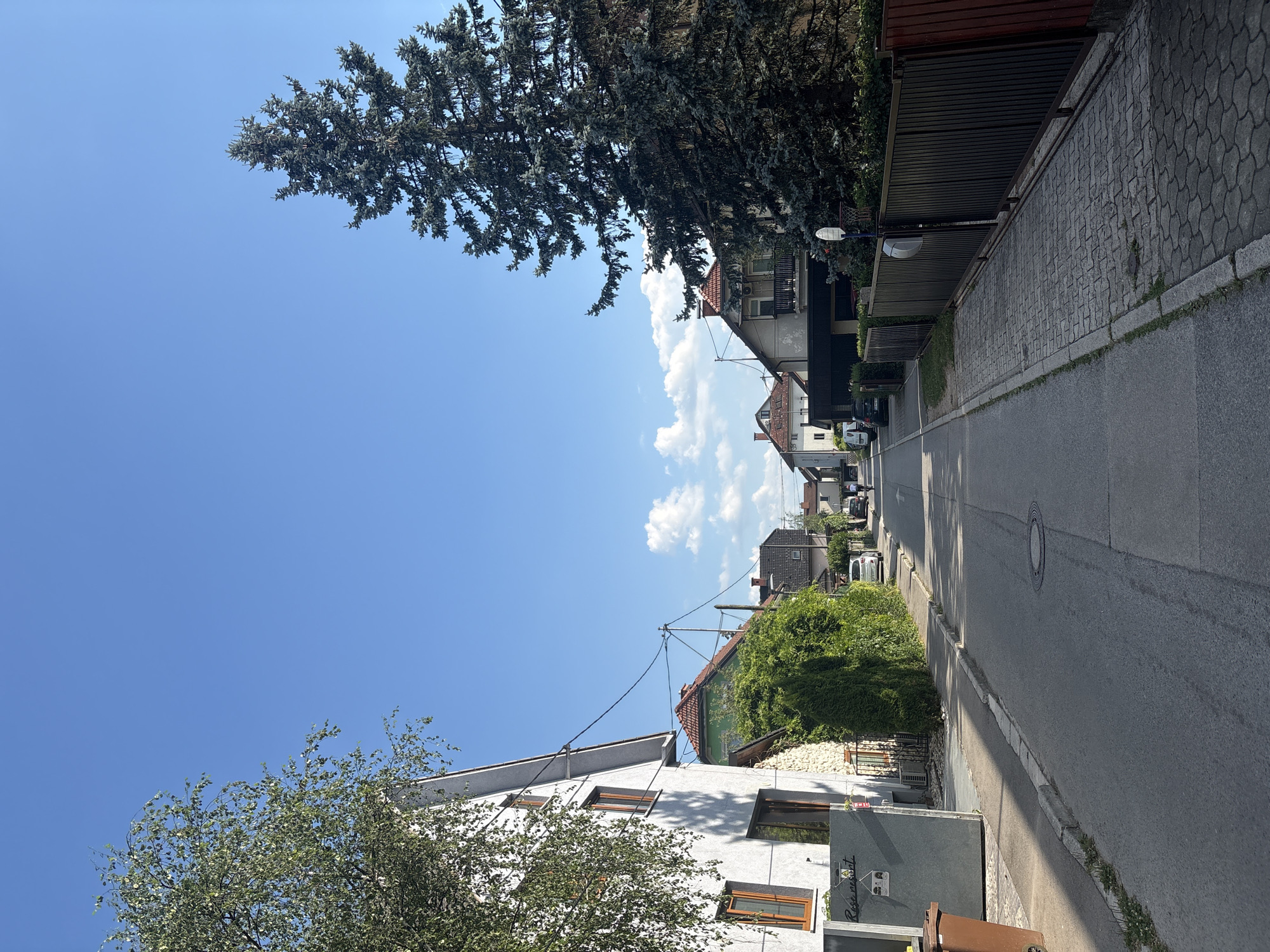 The image depicts a residential street on a clear, sunny day. The street is paved and lined with houses and mature trees. On the left, a white house with brown window frames is visible, with a large brown trash bin in front. Adjacent to it is a building with stone and ivy accents. Further down the street, several houses with red tile roofs are visible. On the right side of the street, a tall evergreen tree dominates the foreground, casting a shadow on the paved sidewalk. Beyond the tree, a dark metal fence encloses a property. In the distance, a few cars are parked along the street, and a person is riding a bicycle. The sky is bright blue with a few scattered white clouds.