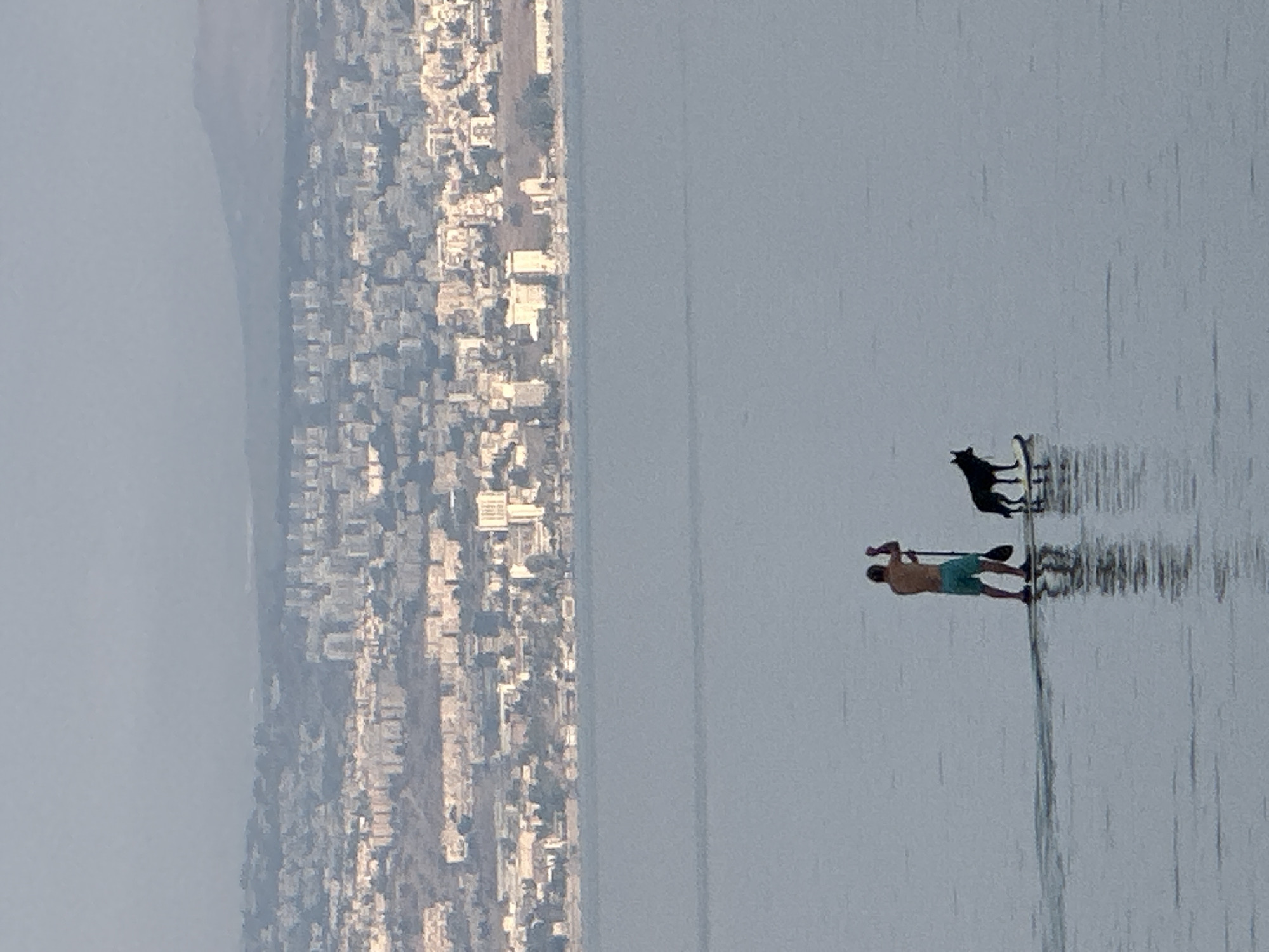 A man and a black dog are on a paddleboard on the Sea of Galilee, in the Emek HaYarden Regional Council, Israel. The man is standing and holding a paddle. The dog is standing on the paddleboard facing the man. In the background, a city with many buildings is visible on the shore, with hills beyond. The water is calm and reflects the sky and the paddleboard. The sky is hazy and light blue.