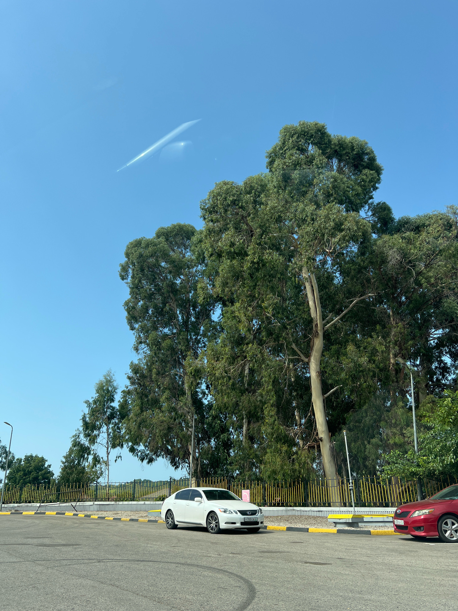 In Achadara, Abkhazia, a light-colored sedan is parked on an asphalt surface. To the right of the sedan, a red sedan is also parked. Tall trees with green foliage dominate the background, and a yellow fence runs along the edge of the property. The sky is a clear blue with a faint contrail.