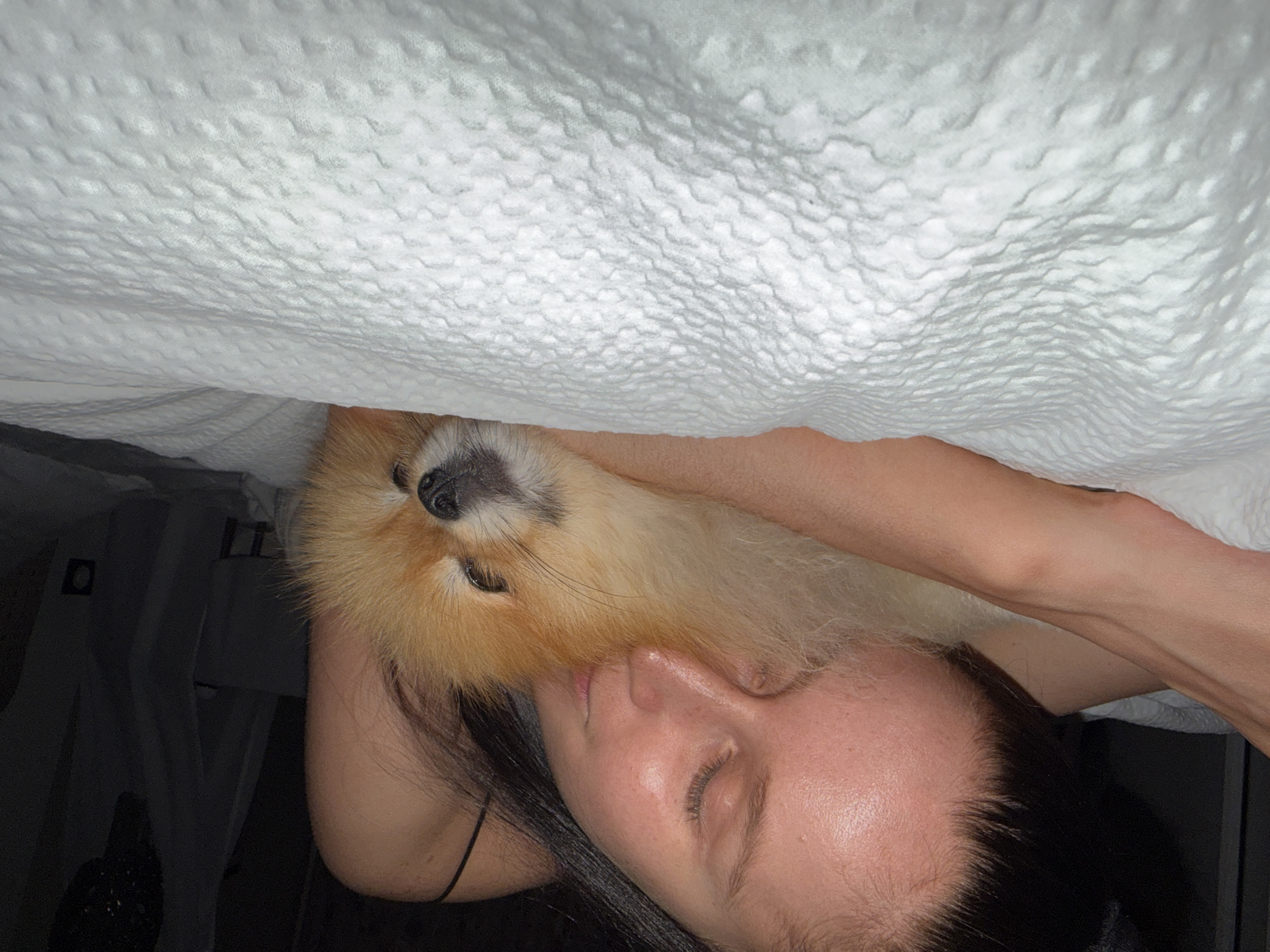 A tan Pomeranian dog and a woman are positioned under a white blanket. The dog’s head and upper body are visible, with its nose pointing toward the viewer. The woman lies with her eyes closed; her face is visible next to the dog. The blanket is directly above the dog and the woman. The background is blurry and dark. The image was taken at Khimki, Russia.