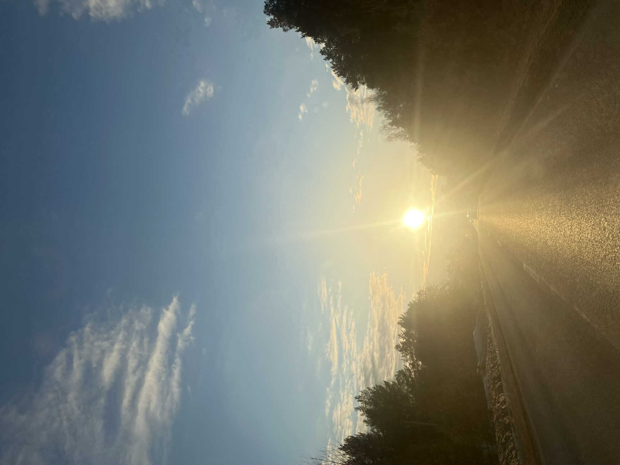 A roadside scene during sunset. A stretch of asphalt road occupies the right side, reflecting the sunlight intensely. The sun itself is positioned near the center, partly obscured by a line of trees. To the left of the sun is a patch of blue sky dotted with wispy clouds. Trees line both sides of the road, silhouetted against the bright sunlight. The location is Noviy, Russia.