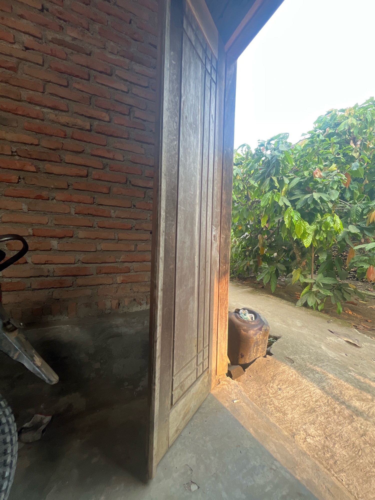 The image depicts an outdoor scene in Kebumen, Indonesia, focusing on the entrance of a simple structure. To the left, a brick wall, constructed with red bricks and gray mortar, dominates the foreground. Part of a dark-colored object, possibly a bicycle wheel and frame, is visible in the lower left corner. The wall appears aged, with some areas of discoloration or weathering.
To the right, a wooden door, divided into panels by vertical and horizontal planks, stands ajar. The wood has a weathered, light brown appearance. Sunlight streams through the opening, casting long shadows on the ground.
Beyond the doorway, a pathway or ground surface made of concrete is visible, leading towards lush green foliage. This foliage is dense and appears to be from a plantation or a garden with trees and bushes bearing leaves and some indistinct brown objects that could be fruit or pods. A large, dark brown plastic container, with some white items inside, sits near the door. The overall environment suggests a rural or semi-rural setting, possibly a farm or a residential area with a garden. The sky is bright and appears to be overcast or hazy.