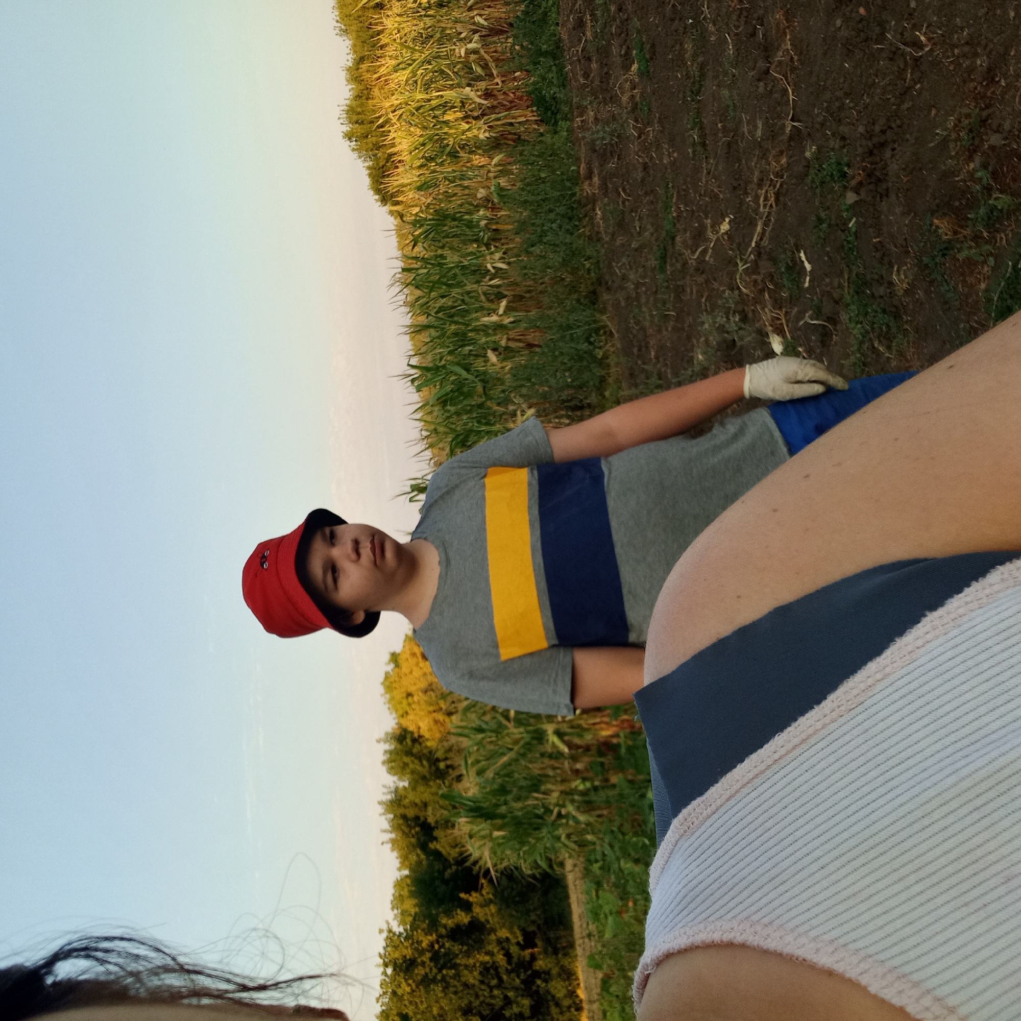 The image, oriented vertically, shows a young person wearing a red bucket hat and a grey t-shirt with yellow and blue stripes. They are standing in a field with a corn crop to their left and cultivated soil to their right. The person is also wearing a white glove on their left hand and blue shorts. In the foreground, a portion of another person's leg and undergarments is visible. The sky is clear and light blue, suggesting it is daytime, possibly late afternoon or early evening given the warm lighting on the corn. Trees are visible in the background. The overall scene appears to be rural, possibly a farm or garden. There is no visible text in the image.