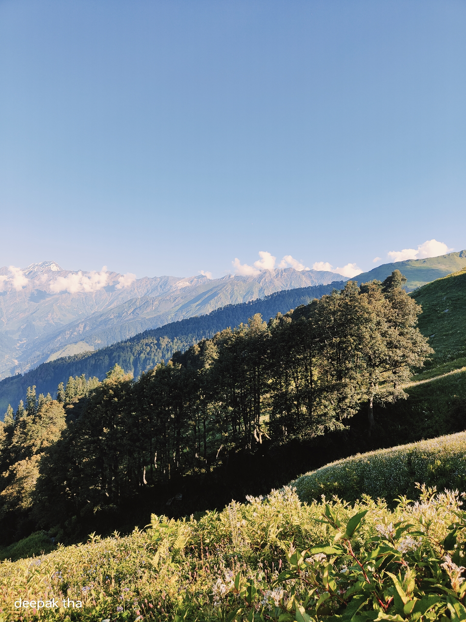 This is a landscape photograph taken in Manali, India. The image captures a view of rolling hills covered in lush green vegetation and trees. In the background, majestic mountains with snow-capped peaks pierce a clear blue sky, with scattered white clouds adding depth to the scene. The foreground features a field of wildflowers, their delicate petals catching the sunlight. A prominent line of trees runs diagonally across the midground, casting shadows on the grassy slopes. The overall impression is one of natural beauty and tranquility, characteristic of the mountainous region. The photographer's name, "deepak tha," is watermarked in the lower left corner of the image.
