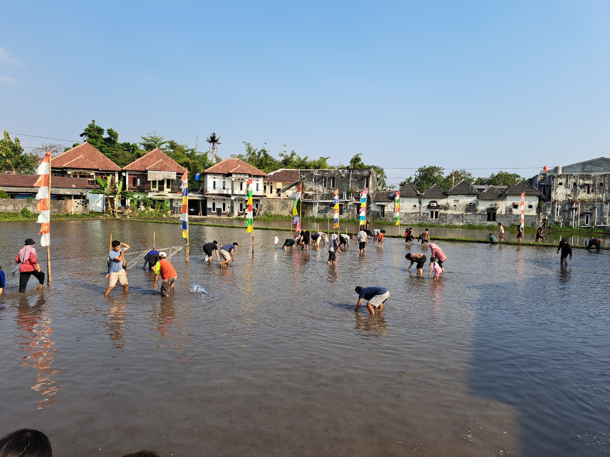 The image depicts an outdoor scene in Ngaglik, Indonesia, featuring a group of people engaged in an activity within a flooded rice paddy. The water level appears to be knee-deep for most adults, with some individuals bending over or crouching, suggesting they are searching for something. Several colorful flags, reminiscent of Indonesian national flags, are planted in the water, marking the area. In the background, traditional Indonesian houses with red-tiled roofs are visible, along with lush green trees and vegetation. The sky is clear and blue, indicating a sunny day. The overall atmosphere seems to be one of a community event or competition, possibly related to harvesting or a local tradition, taking place in a rural or semi-rural setting within the city of Ngaglik.