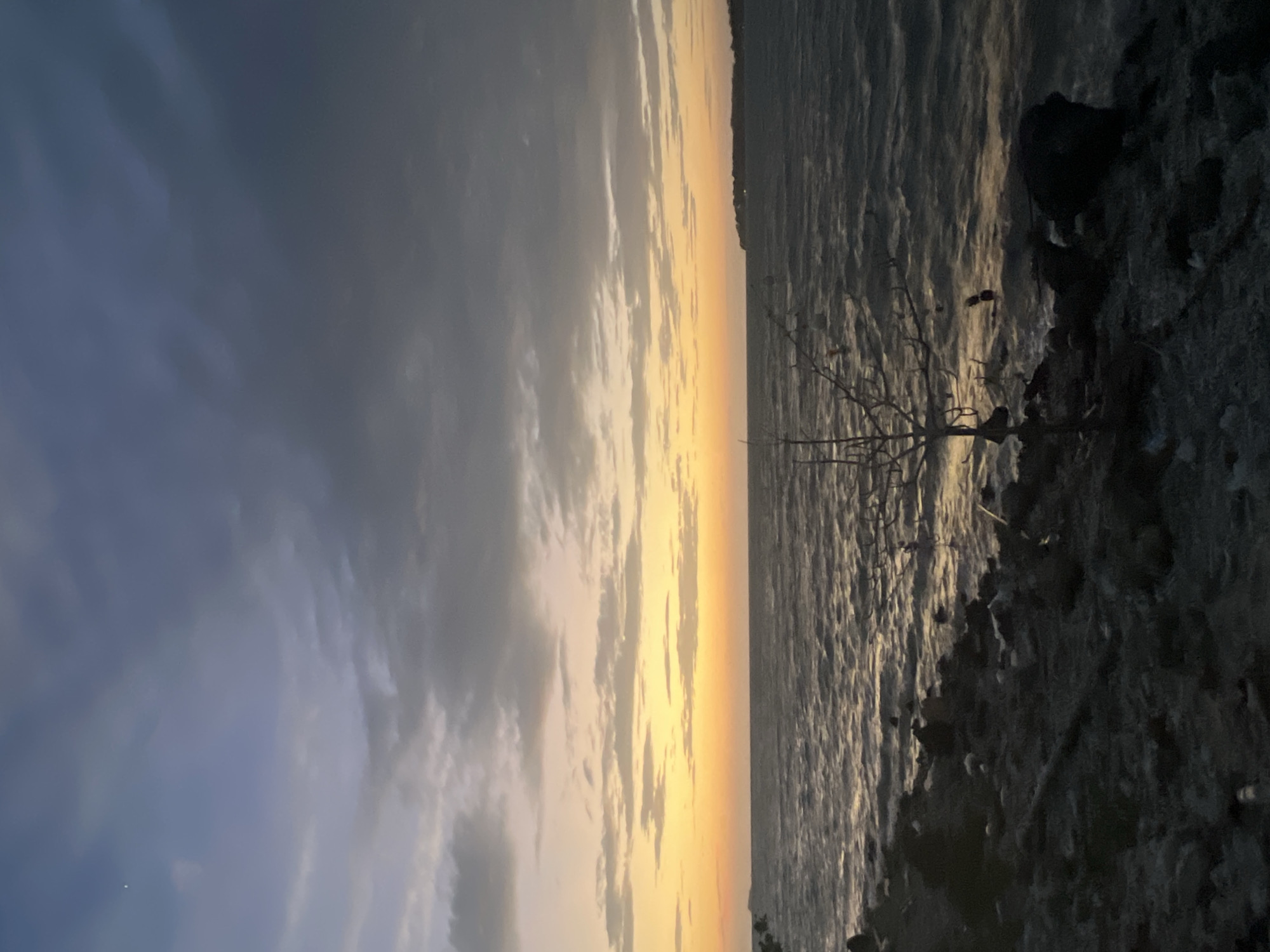 The image depicts a twilight scene at the edge of a body of water, likely a sea or large lake, in the Ko Pha-ngan District of Thailand. The sky is a gradient of deep blues and greys at the top, transitioning to soft yellows and oranges near the horizon, indicating either sunrise or sunset. Clouds are present throughout the sky, with some appearing wispy and others more dense.
The water is characterized by moderate waves, reflecting the colors of the sky. The shoreline in the foreground is rocky and uneven, with dark, textured ground that appears to be made of stones and debris. A solitary, leafless tree stands on the rocky bank, its bare branches stark against the water and sky. There are no visible people in the image. The overall environment suggests a natural, somewhat rugged coastal or lakeside setting.