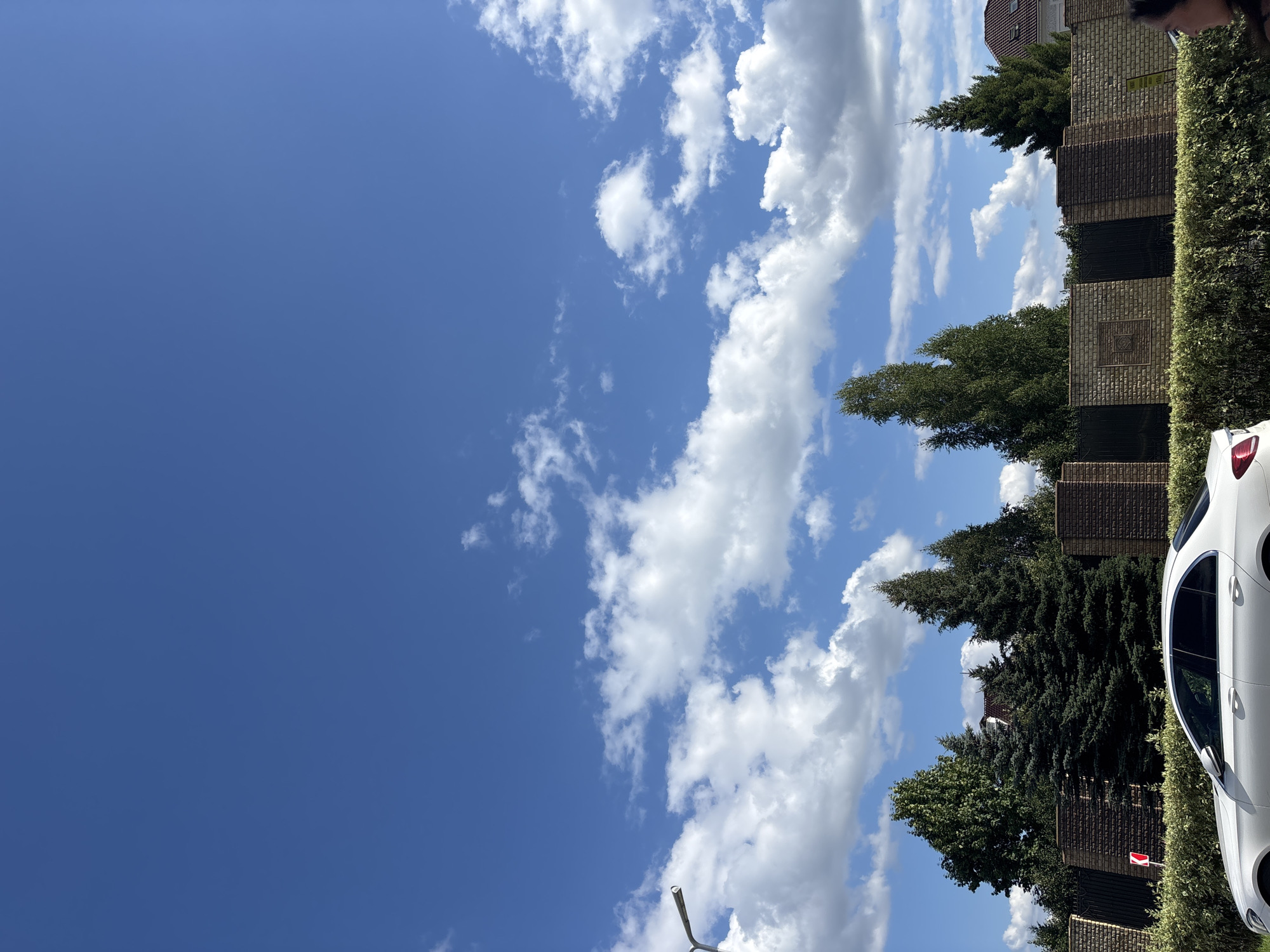 The image shows a street scene in Zakharovo, Russia, on a clear, sunny day with a bright blue sky dotted with fluffy white clouds. A white Mercedes sedan is parked on the left side of the frame, partially obscuring a neatly trimmed green hedge. Behind the hedge, a brick fence with ornate metal inserts runs across the middle ground. A variety of trees, including tall evergreen conifers and deciduous trees, are visible behind the fence, with the roof of a building peeking out among them. A street lamp is present on the left side of the image. A person's head and shoulder are visible on the far right edge of the frame, facing away from the camera.