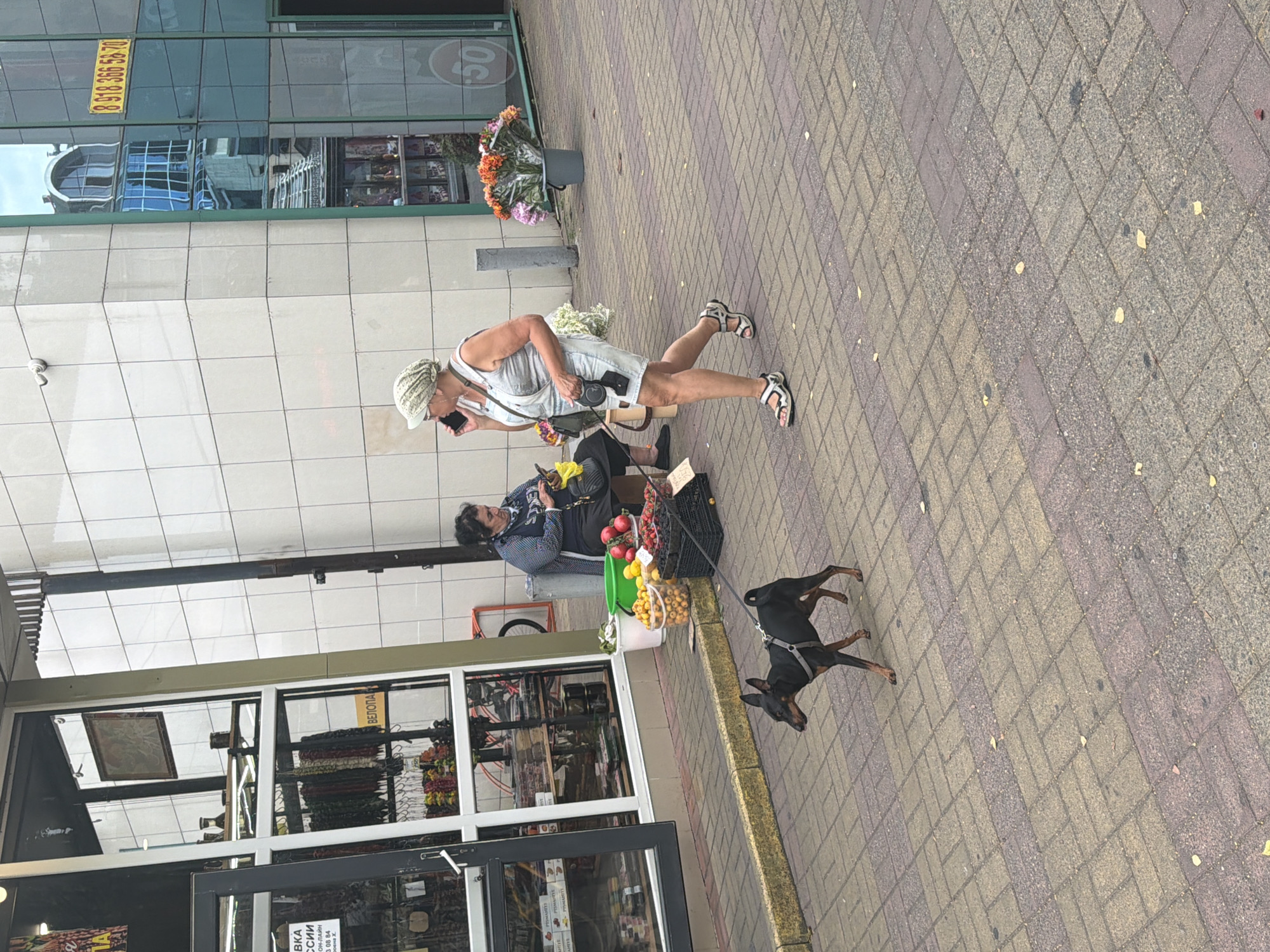 This media file shows an outdoor scene on a paved walkway in front of a building with large windows. A woman wearing a white hat and a light-colored top and shorts is walking while talking on her phone. She is wearing sandals and carrying a small bag. Next to her, a dog on a leash is standing on the walkway. In the background, there is a vendor with a cart filled with fruits and vegetables, and a bucket of flowers.
The building appears to be a commercial establishment, with reflections of other buildings and a yellow sign with Russian text and a phone number visible on the glass facade. The ground is paved with interlocking bricks. The scene suggests a sunny day, and the overall atmosphere seems to be casual and everyday. A person is seated behind the fruit cart, possibly the vendor. The text on the yellow sign reads "8 918 366 5870" and some other Russian words. There are also Cyrillic characters visible on signs in the windows of the building.