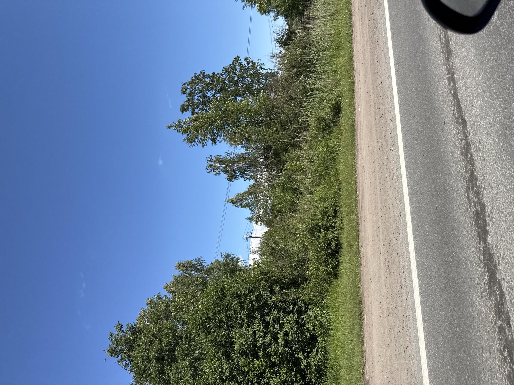 The image captures a view from a vehicle traveling along a paved road in Saint Petersburg, Russia. The road, visible on the right side of the frame, has a white lane divider. Adjacent to the road is a dirt shoulder, followed by a dense line of green grass and trees. The trees vary in height and density, with some appearing taller and more mature than others. In the background, a clear blue sky is visible with a few wispy clouds. Power lines stretch across the sky, suggesting the presence of infrastructure near the road. The lighting suggests it is daytime, likely during pleasant weather, with the sun illuminating the scene. There is no visible text in the image.