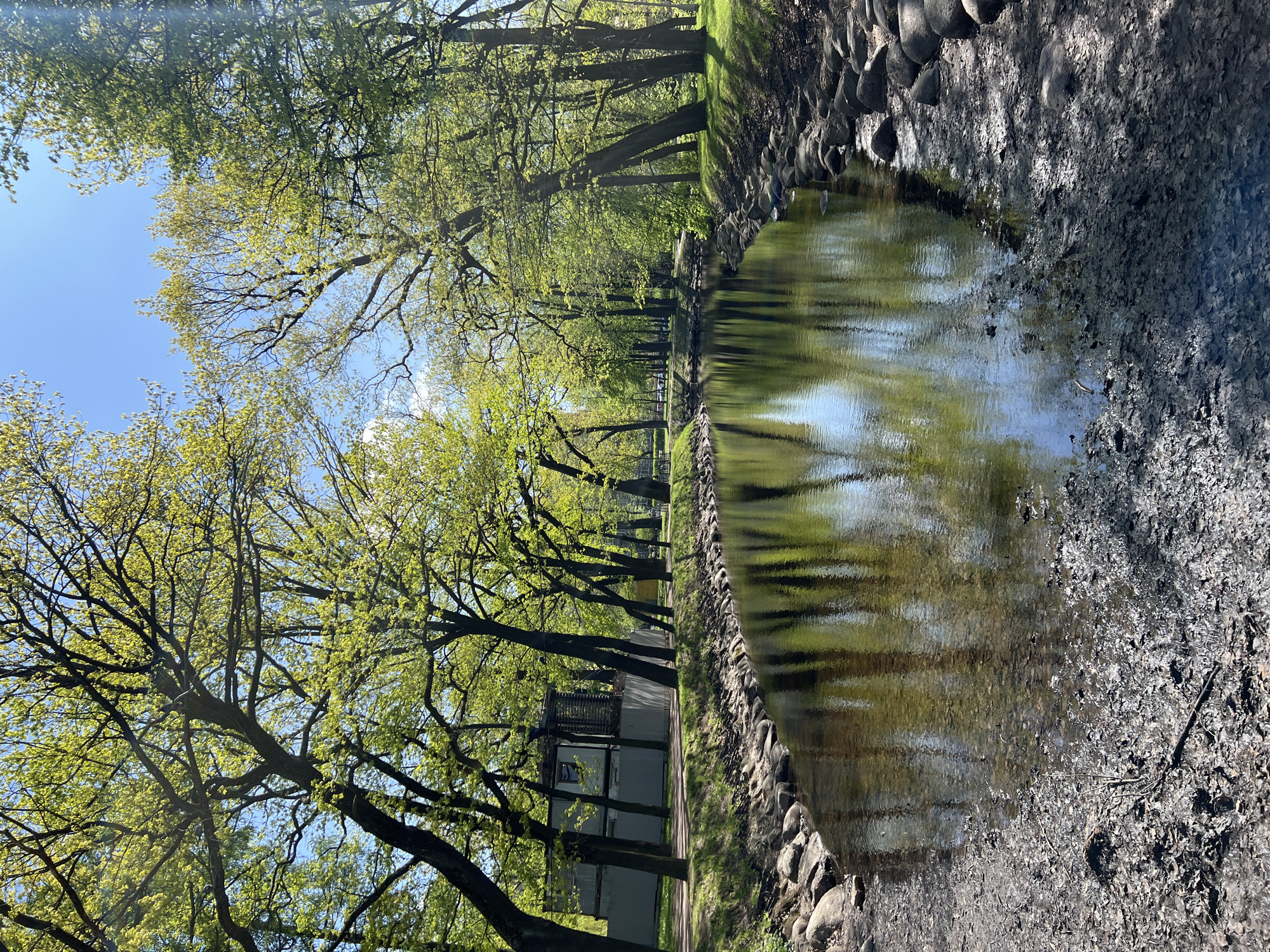 The image depicts a park scene in Saint Petersburg, Russia. A narrow canal runs horizontally through the center, reflecting the sky and surrounding trees. The banks are lined with large rocks, and the ground on the right side is covered in dry leaves and dirt. On the left, a row of trees with fresh green leaves lines a walkway. A small building is visible through the trees. The sky is blue with some clouds.