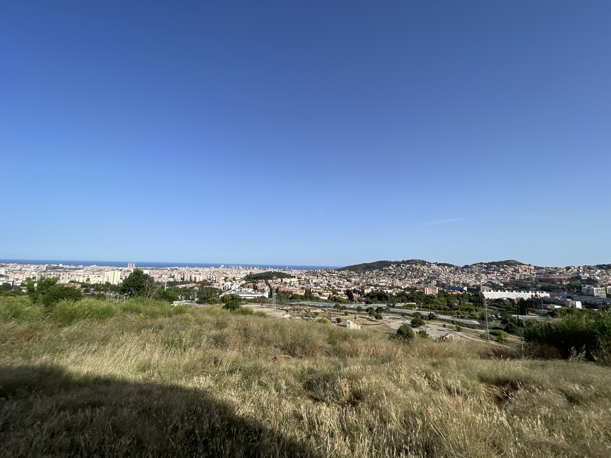 The image presents a panoramic view of Barcelona, Spain, from a hilltop overlooking the city and the Mediterranean Sea. In the foreground, a meadow of tall, dry grass and scattered green vegetation occupies the lower half of the frame. A dark shadow, likely cast by the photographer, stretches across the foreground grass.
Beyond the meadow, the cityscape of Barcelona unfolds. Buildings of varying heights and architectural styles are densely packed, extending towards the coastline. The sea is visible in the distance, appearing as a calm expanse of blue under a clear, cloudless sky. A prominent landmark, the Sagrada Familia, with its distinctive spires, can be observed within the urban sprawl, slightly left of center. The city is situated on a coastal plain and extends up the gentle slopes of hills in the background, characterized by a dense residential development. Infrastructure, including roads and what appear to be sports fields or recreational areas, are interspersed within the urban landscape. The overall impression is of a sunny day with excellent visibility, capturing the vastness and architectural diversity of Barcelona.