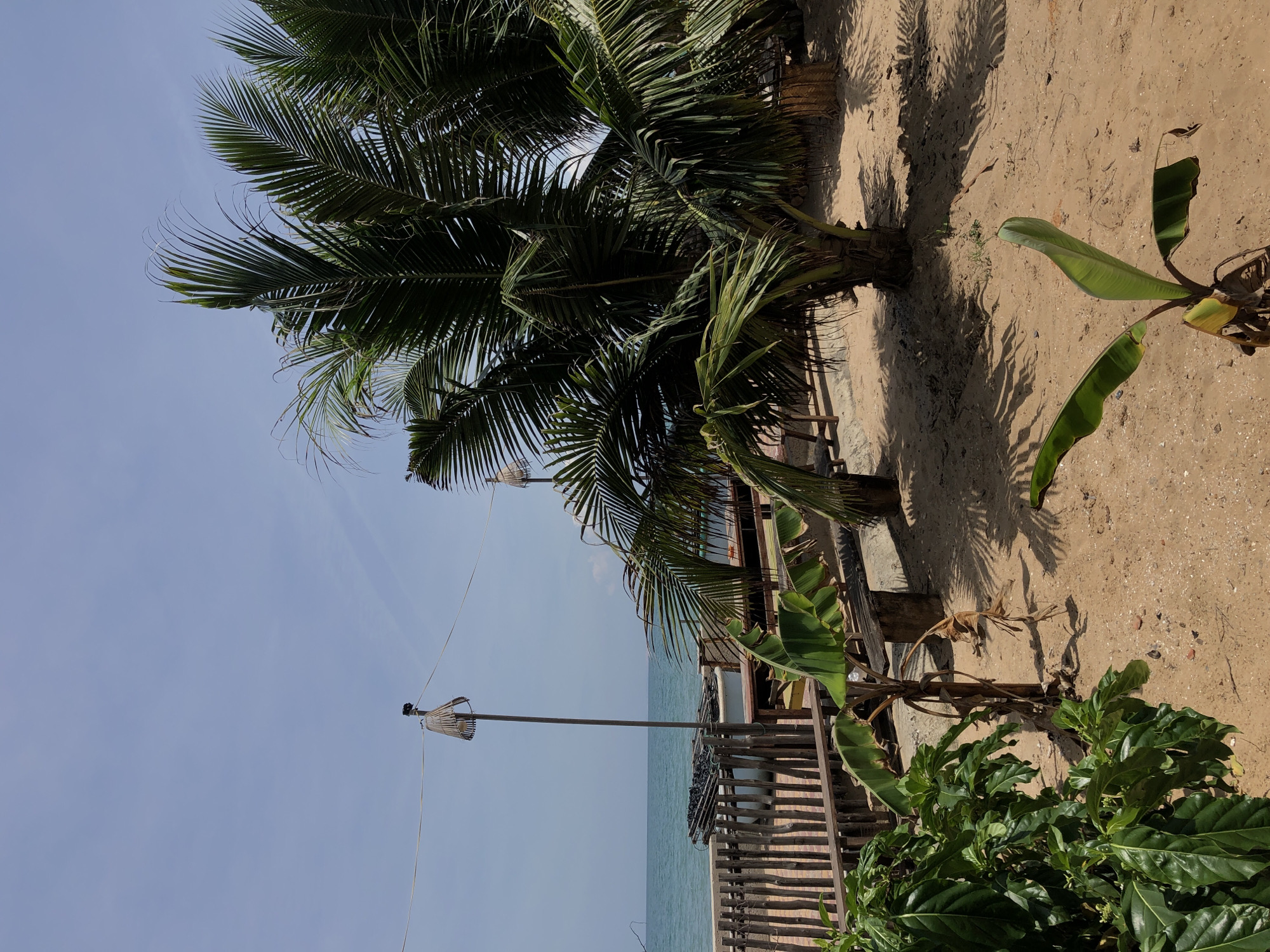 This is a daytime, eye-level shot of a sandy beach area with a partial view of the ocean in Mũi Né, Vietnam. In the foreground, lush green plants and a small banana tree are visible on the left and center-right respectively. A wooden fence runs horizontally across the middle ground, separating the sandy area from a paved walkway and a glimpse of the ocean. Beyond the fence, the turquoise ocean stretches to the horizon under a clear blue sky.
A prominent coconut palm tree stands on the right side of the image, its fronds casting shadows on the sand. Two lamp posts with woven shades are positioned on either side of the scene, one behind the fence and another further back. The area appears to be a relaxed, outdoor seating space, with wooden benches visible behind the fence. The overall atmosphere is tranquil and tropical.