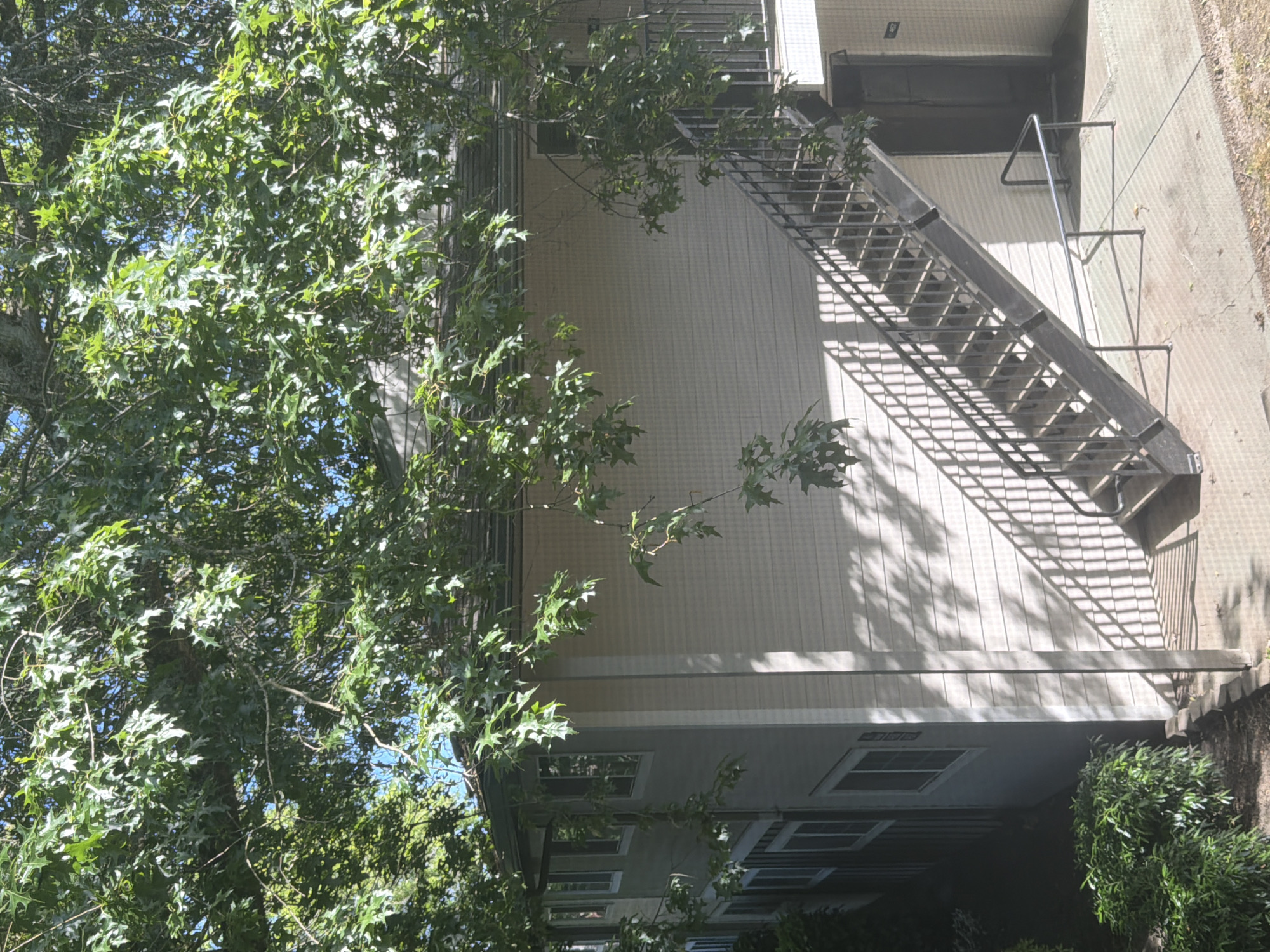 The image shows the exterior of a two-story apartment building, likely in a suburban or residential area of Portland, Oregon. The building is light beige with white trim around the windows. A dark gray metal staircase with railings leads up to the second floor. Trees with green leaves are in the foreground and overhanging the building, casting shadows on the wall and staircase. The ground in front of the stairs is paved with concrete and some gravel. There are some green bushes on the left side of the image. The sky is visible through the tree branches, appearing blue. There are no people or animals visible in the image. The overall scene suggests a warm, sunny day.