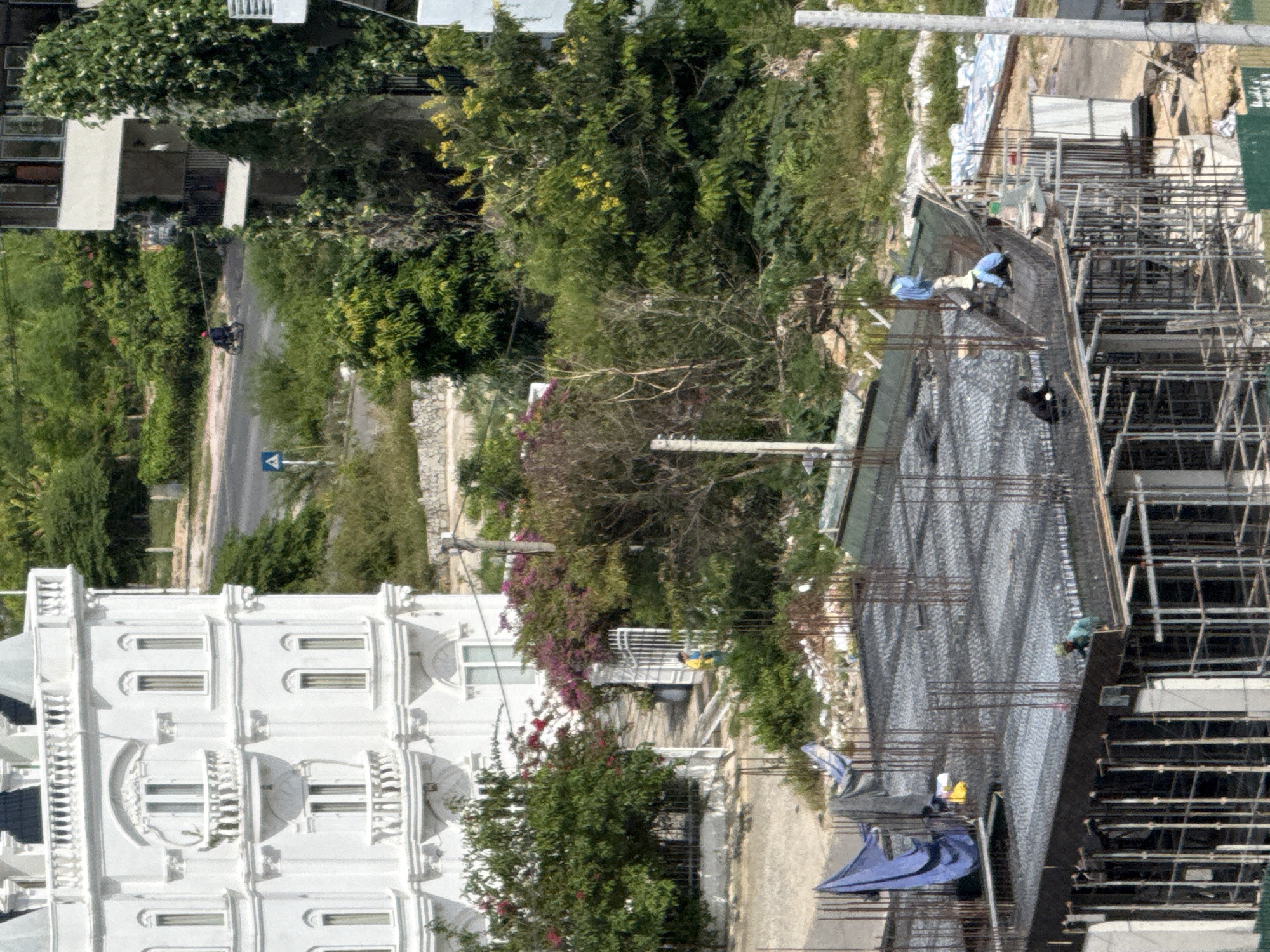 The image shows a construction site in Bac Nha Trang Ward, Vietnam. In the foreground, a white building with ornate architectural details, including balconies and arched windows, is visible. Lush green trees and vibrant purple bougainvillea flowers surround the building.
The main focus of the image is the construction site. Scaffolding and rebar are prominent features, indicating ongoing construction work. Several workers, dressed in work attire, are actively engaged in their tasks. One worker, wearing a light blue shirt and pants, is positioned on the scaffolding, seemingly inspecting or working on the structure. Another worker, wearing a green shirt and dark pants, is also visible on the construction site. A black dog can be seen near the workers.
Blue tarpaulins are spread across parts of the construction area, possibly to protect materials or provide shade. The scene suggests a typical day of construction activity in a tropical or subtropical environment, likely during daylight hours. The overall impression is one of diligent work and ongoing development. The background reveals more greenery and a glimpse of a road with a triangular blue sign.