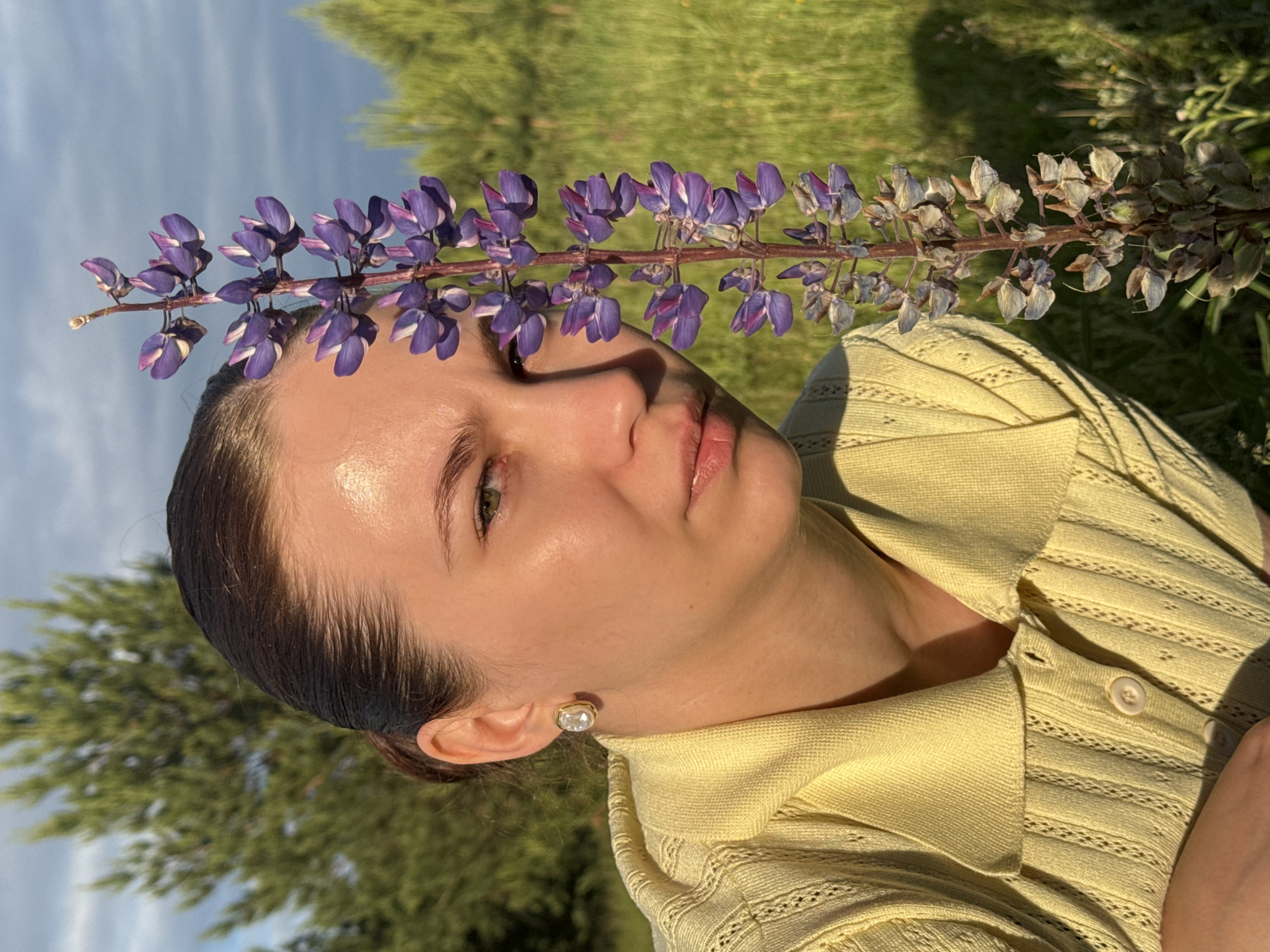 The image depicts a young adult female in an outdoor natural setting under clear skies with some clouds, illuminated by direct sunlight. Her dark hair is pulled back. She wears a yellow collared knit top with textured patterns and a gold-toned oval earring with a light-colored center on her visible left ear. A tall stalk of purple flowers, characteristic of a lupine, is positioned vertically in front of her face, partially obscuring her right eye, nose, and mouth. The flowers are denser and more vibrant purple at the top, transitioning to lighter, fading blooms and seed pods towards the base. She looks directly at the camera with a neutral expression. The background features a green field or grassy area and several coniferous trees, indicative of a forest edge. No identifiable architectural or geographical features within the image confirm a specific urban or regional location such as Chaikovsky, Russia.