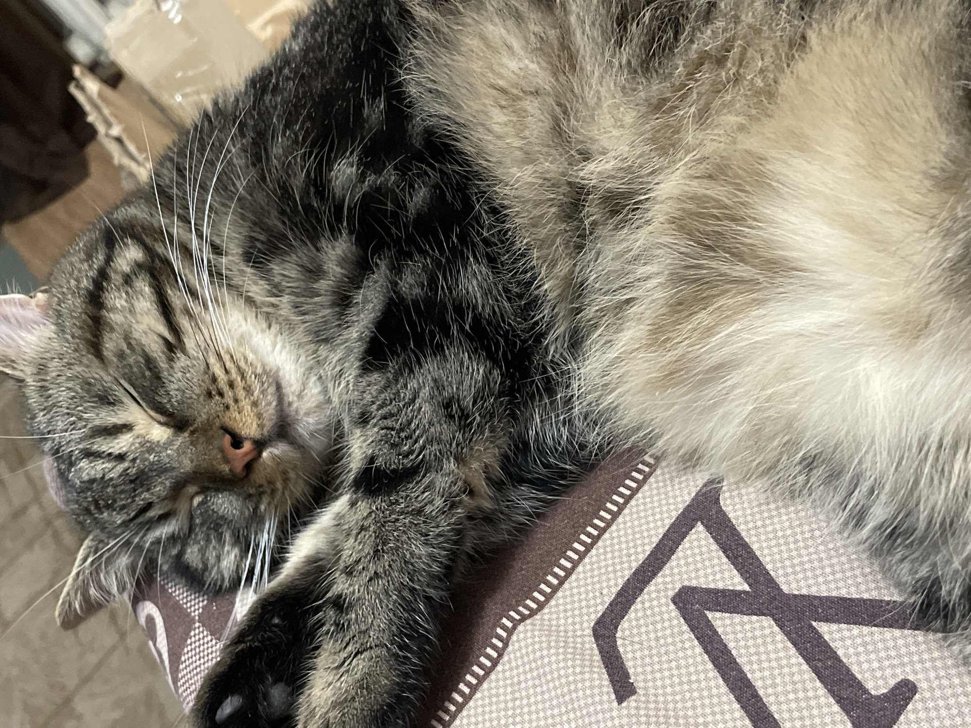 A domestic short-haired cat is sleeping on its side, facing left. Its eyes are closed, and its paws are crossed in front of its face. The cat has a tabby coat with gray, black, and brown stripes. It is lying on a patterned surface, possibly a pillow or blanket, with a geometric design in shades of brown and cream. The background is blurred, but appears to be a domestic setting with some cardboard boxes visible. No specific location in Cherkasy, Ukraine can be determined from the image.