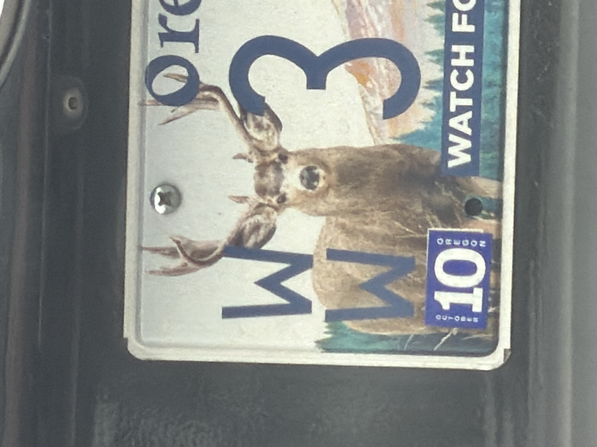 The image is a close-up, slightly angled photograph of an Oregon license plate mounted on a vehicle. The license plate features a graphic of a deer with large antlers in the foreground, with a mountainous landscape and evergreen trees in the background. The license plate text is partially visible, with the letters "W W" appearing twice, a large blue number "3", and the word "ORE" (likely the start of "OREGON") at the top right. A small blue sticker with the number "10" in white and the words "OCTOBER" and "OREGON" is affixed to the lower left of the license plate. The bottom right of the license plate has text that reads "WATCH FO", likely part of a longer phrase. The license plate is attached to the back of a dark-colored vehicle. No specific location within Beaverton, USA, is identifiable from the image itself.