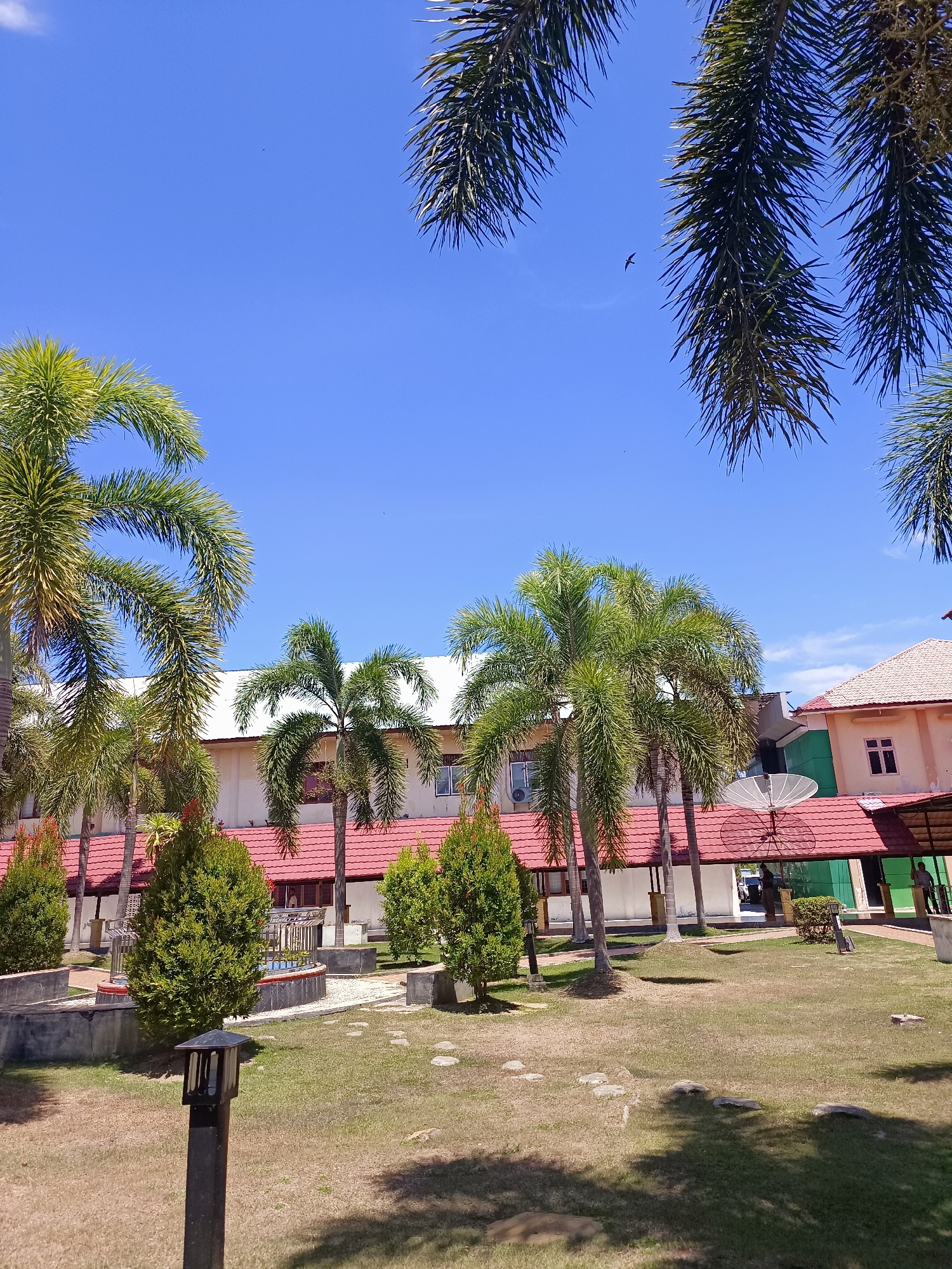 A sunlit outdoor scene in Mesjid Reuntoh, Indonesia, features a courtyard with a building and palm trees under a clear blue sky. A single bird is visible in flight in the upper center of the sky. The building, with a red tiled roof and beige walls, has several windows and an air conditioning unit. A satellite dish is mounted on the roof. In the foreground, a lawn area is dotted with stepping stones and a dark-colored outdoor lamp post. Several manicured evergreen trees and a small water feature are also present in the courtyard. Some people are visible in the background, near the entrance of the building. The overall impression is one of a well-maintained institutional or residential complex on a bright, clear day.