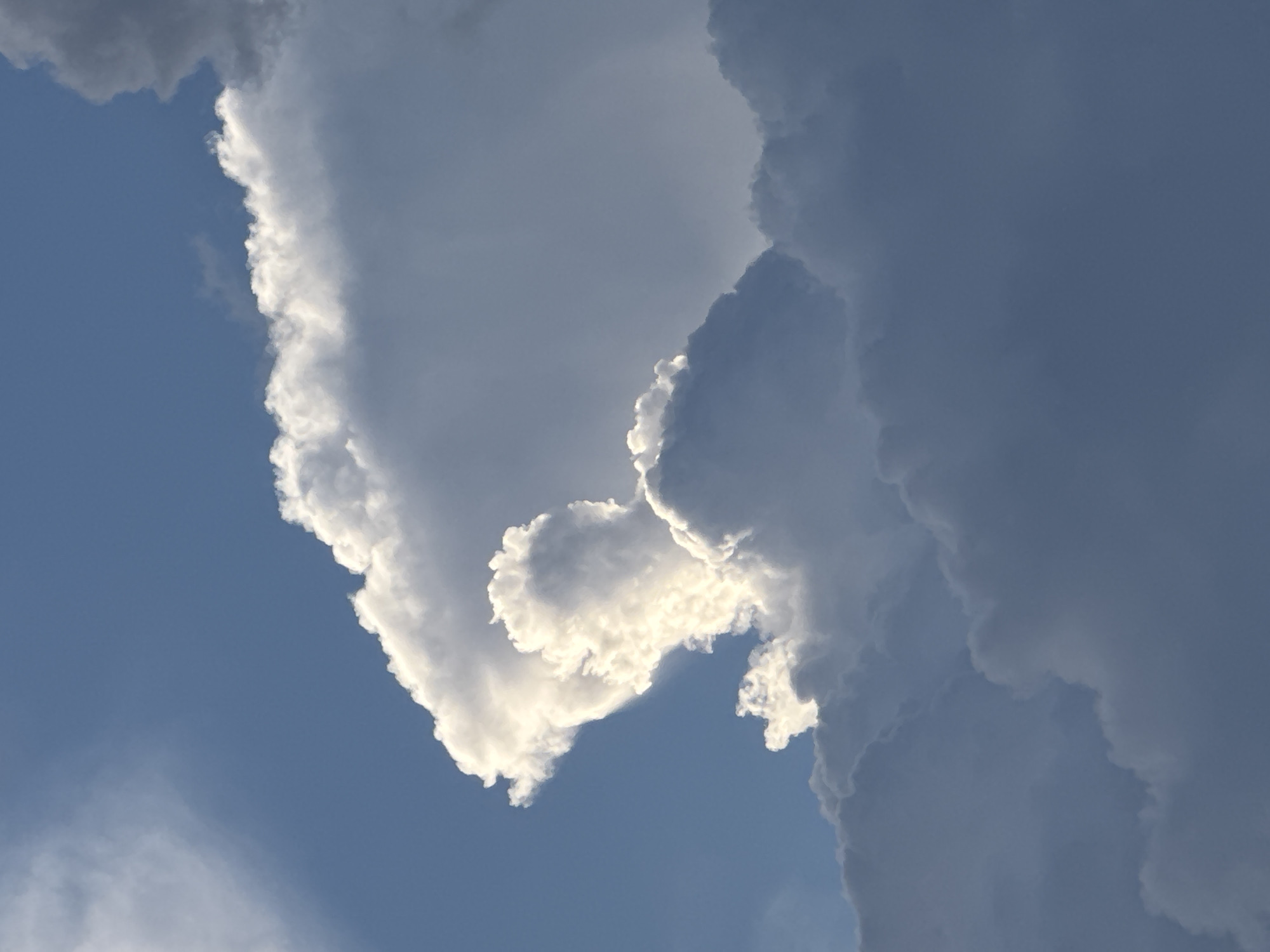 The image is a close-up, vertical shot of a dramatic sky filled with clouds. The clouds range from bright white, illuminated by the sun, to dark, shadowed masses. The background is a clear blue sky. The overall impression is one of powerful natural forces at play, with the clouds appearing textured and voluminous. There are no people, objects, or structures visible in the image. The scene depicts a natural sky formation. There is no discernible location within the city of Архангельское, Russia, as the image is purely a skyscape.