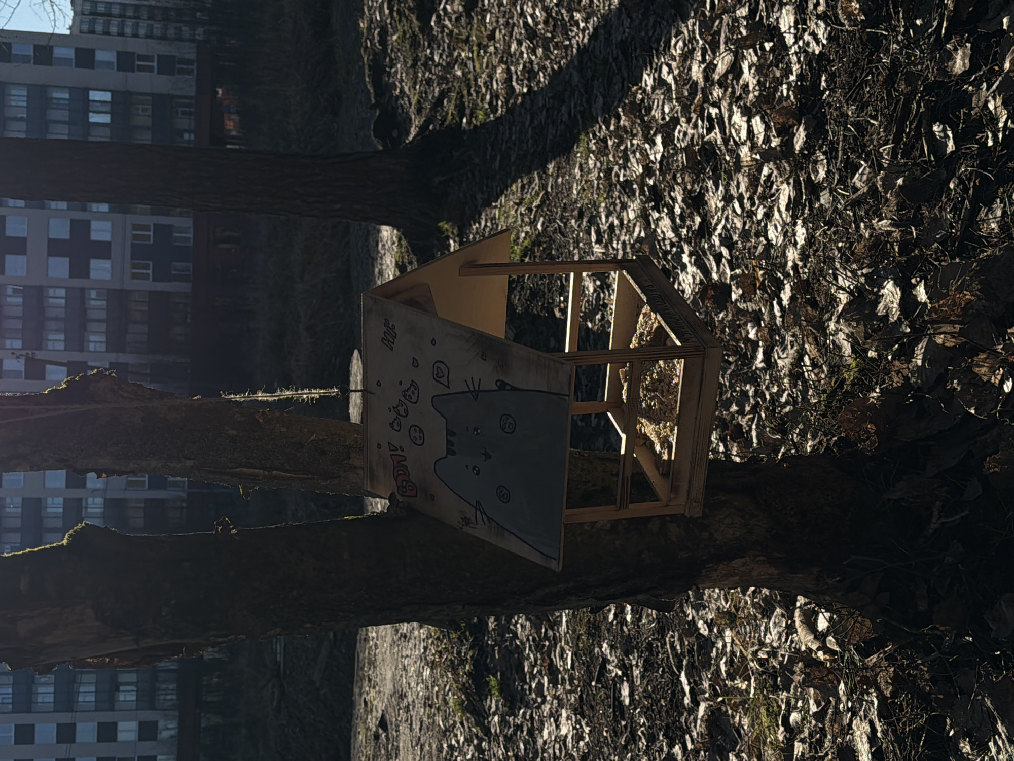 A birdhouse with a cartoon cat painted on its side is perched on a tree branch. The birdhouse is made of light-colored wood and has a simple, angular design. The painted cat is gray and white and appears to be stylized. The background consists of fallen leaves, branches, and the bark of the tree on which the birdhouse is situated. In the distance, there is a multi-story building with windows. The picture may have been taken in a park or wooded area, given the presence of trees and leaf litter. Location is Lavriki, Russia.