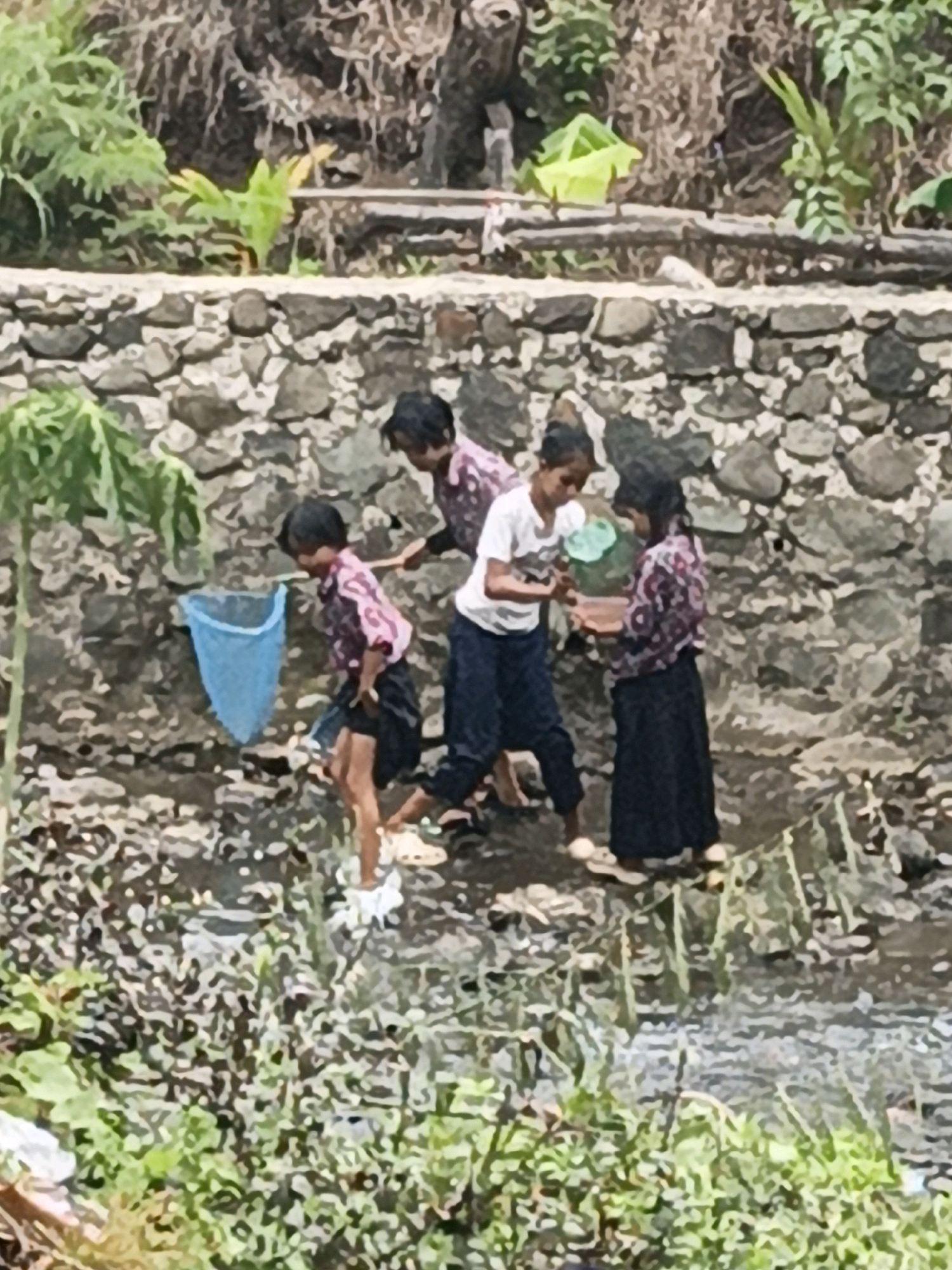 In the city of Mangli, Indonesia, four children are gathered near a stone wall. Three girls and one boy are present. The girl on the far left wears a pink shirt with a patterned design and black shorts, holding a blue net. Next to her, a girl in a white t-shirt and dark pants appears to be playing with a green container. The third girl, to her right, is dressed in a purple and white patterned shirt and a black skirt. The fourth child, the boy on the far left, is partially obscured but appears to be wearing a pink shirt similar to the girl next to him. They are standing in shallow water, with green vegetation growing in the foreground and on the embankment behind the stone wall. The scene depicts children engaged in an outdoor activity, possibly fishing or playing with water.