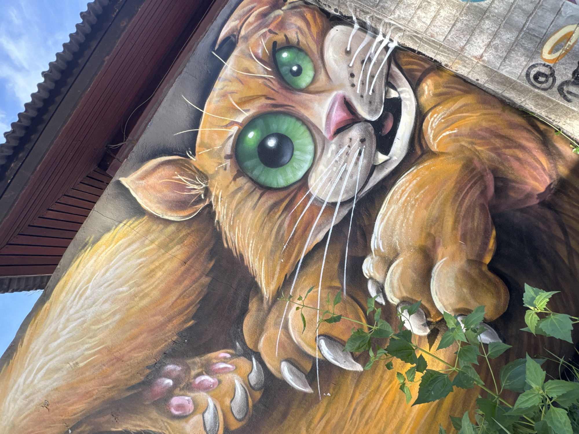 This image is a close-up, eye-level, medium shot of a mural painted on an exterior wall. The mural depicts a large, stylized feline with bright green eyes and orange fur. The feline's mouth is open, revealing teeth. Its paws with sharp claws are visible, with one paw resting on the wall. Green foliage from a nearby plant partially obscures the lower right portion of the mural. The mural appears to be located in a setting with a corrugated metal roof and wooden eaves visible in the upper left corner, and a section of brick wall with graffiti in the upper right. The sky is visible in the upper left, suggesting an outdoor location in ตำบลเกาะพะงัน, Thailand.