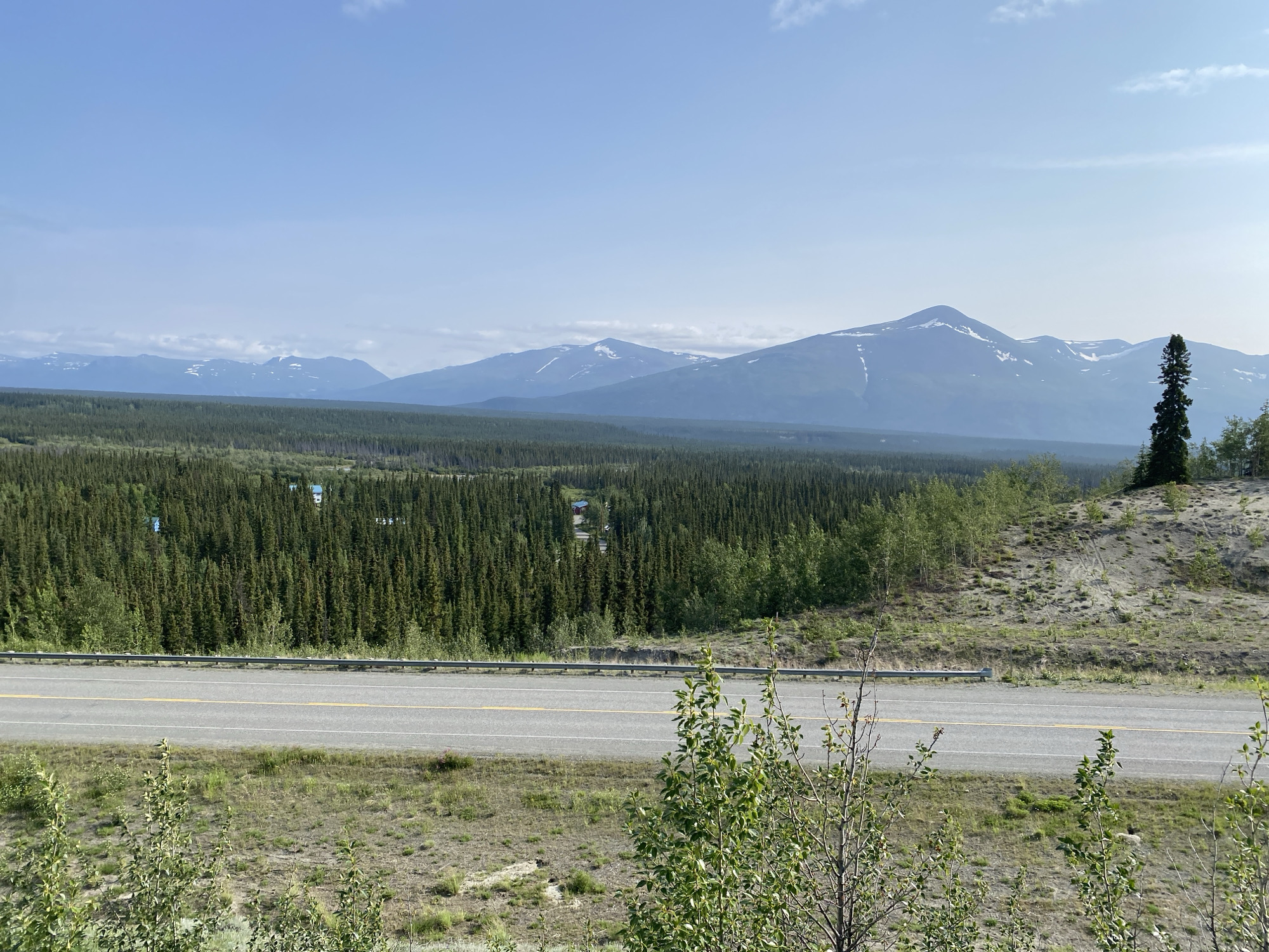A wide, paved two-lane road runs horizontally through the lower-middle portion of the frame, with a metal guardrail separating it from a grassy embankment to the right and a sparsely vegetated area to the left. Beyond the road, a dense evergreen forest stretches across the landscape. In the distance, a range of mountains with snow-capped peaks is visible against a clear blue sky with scattered clouds. A tall, solitary evergreen tree stands on a sandy slope on the right side of the image, overlooking the forest and road. The overall scene depicts a vast, natural landscape with a road cutting through it, suggesting a remote location in Canada.